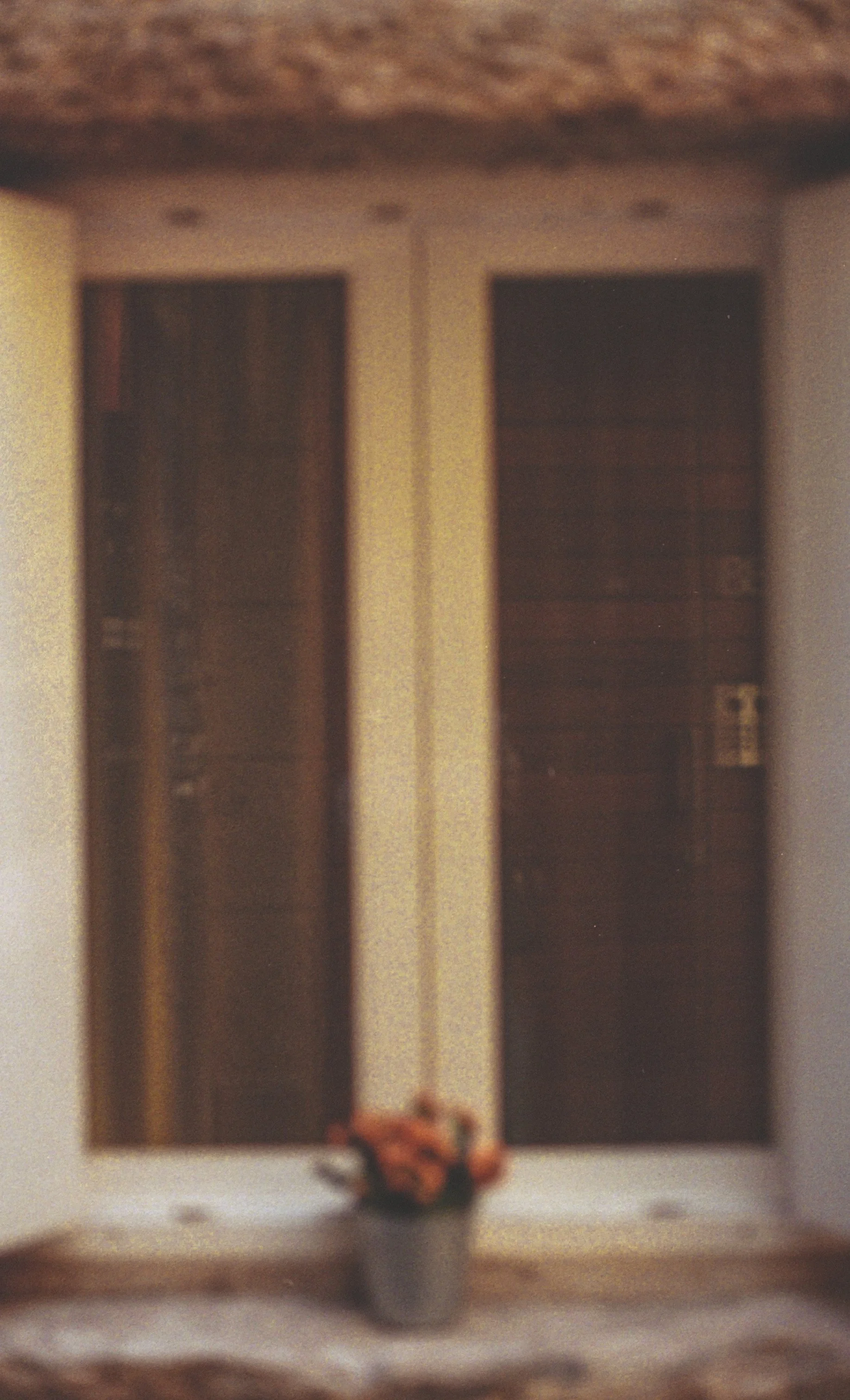 img265.JPG