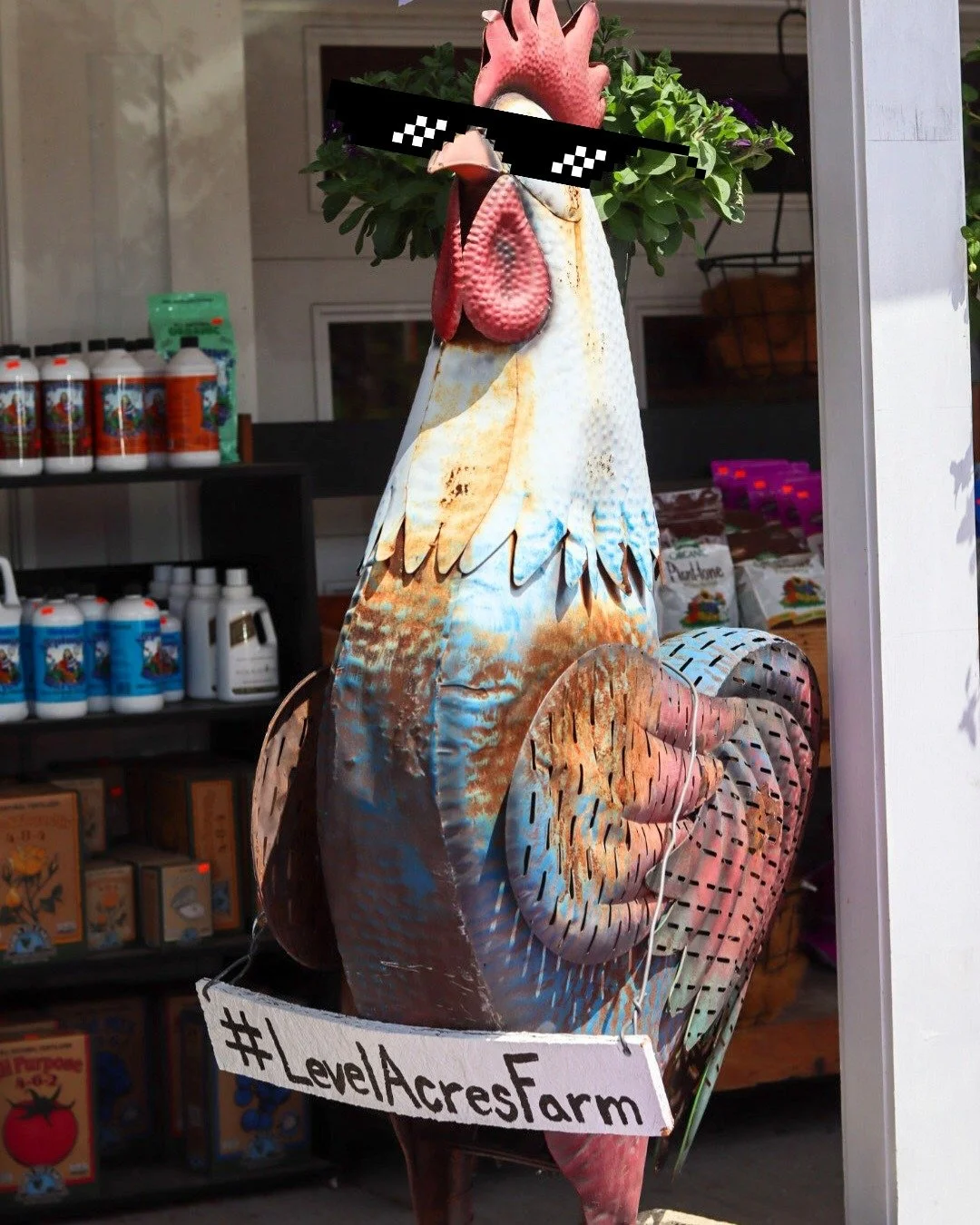NEW SUMMER HOURS ANNOUNCEMENT🗣️ 

Level Acres Farm will be CLOSED on Tuesdays starting tomorrow, July 7th! We know its hard to believe, but we're not clucking around!

As a reminder, you can always find our most current hours on our Google business 