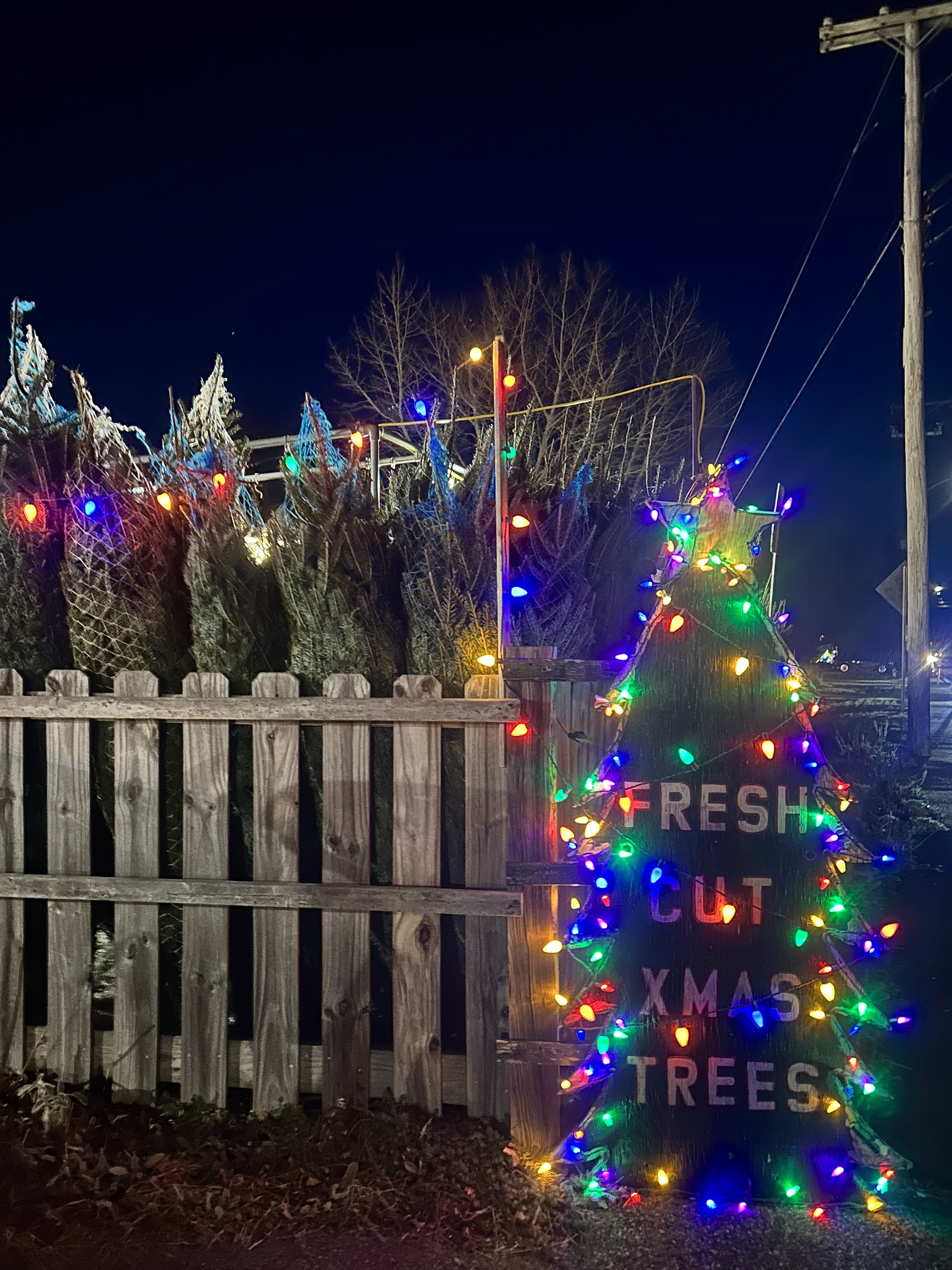fresh cut tree sign