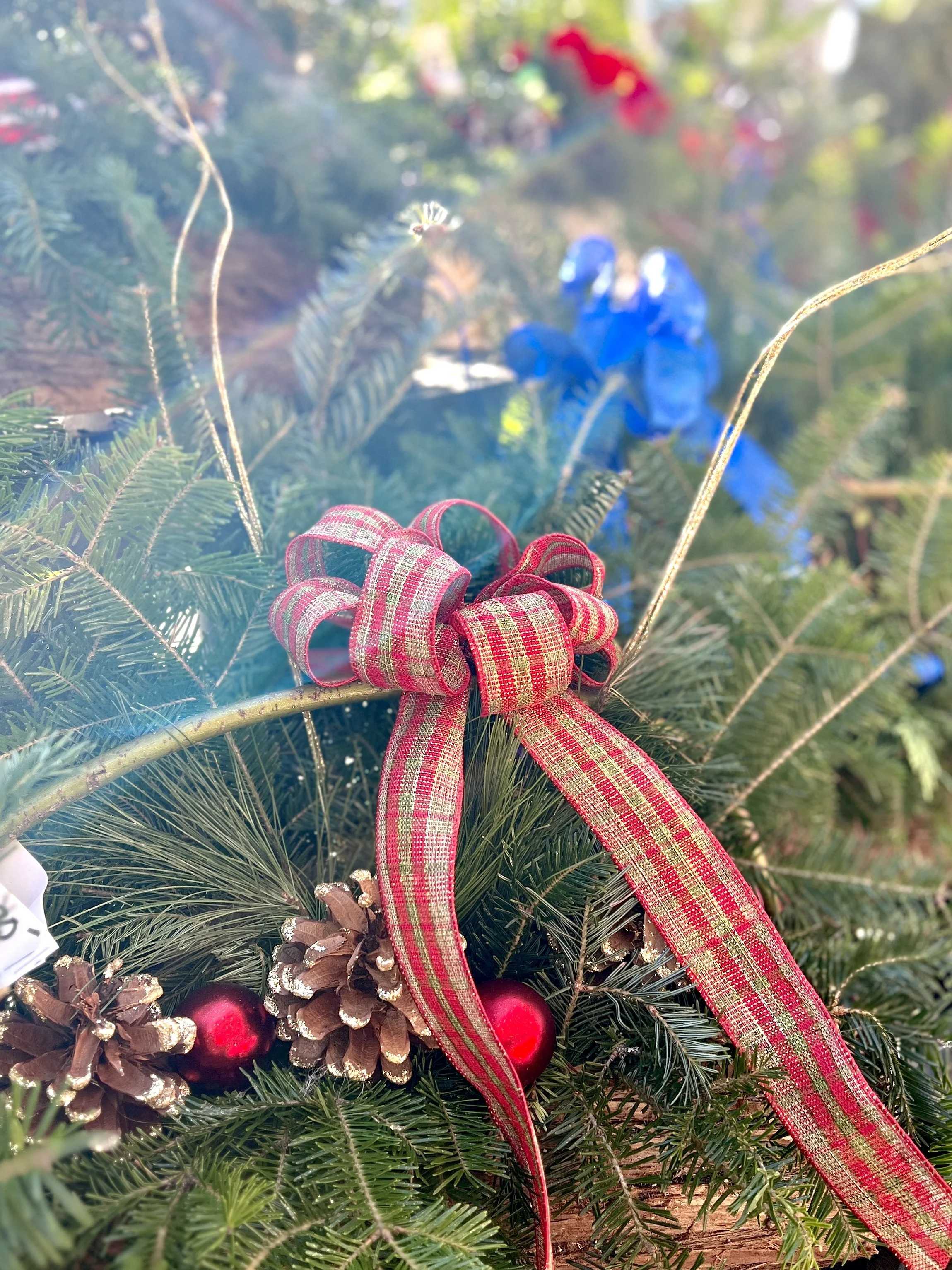 Close-up of a festive Christmas wreath decorated with pine cones, red ornaments, and a plaid red and gold ribbon, set outdoors with blurred greenery and colorful blue and red decorations in the background.