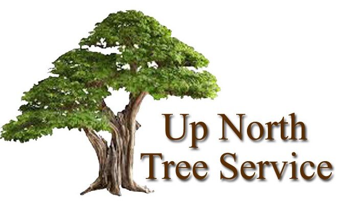 Up North Tree Service
