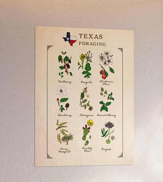 Texas Foraging Native Plants