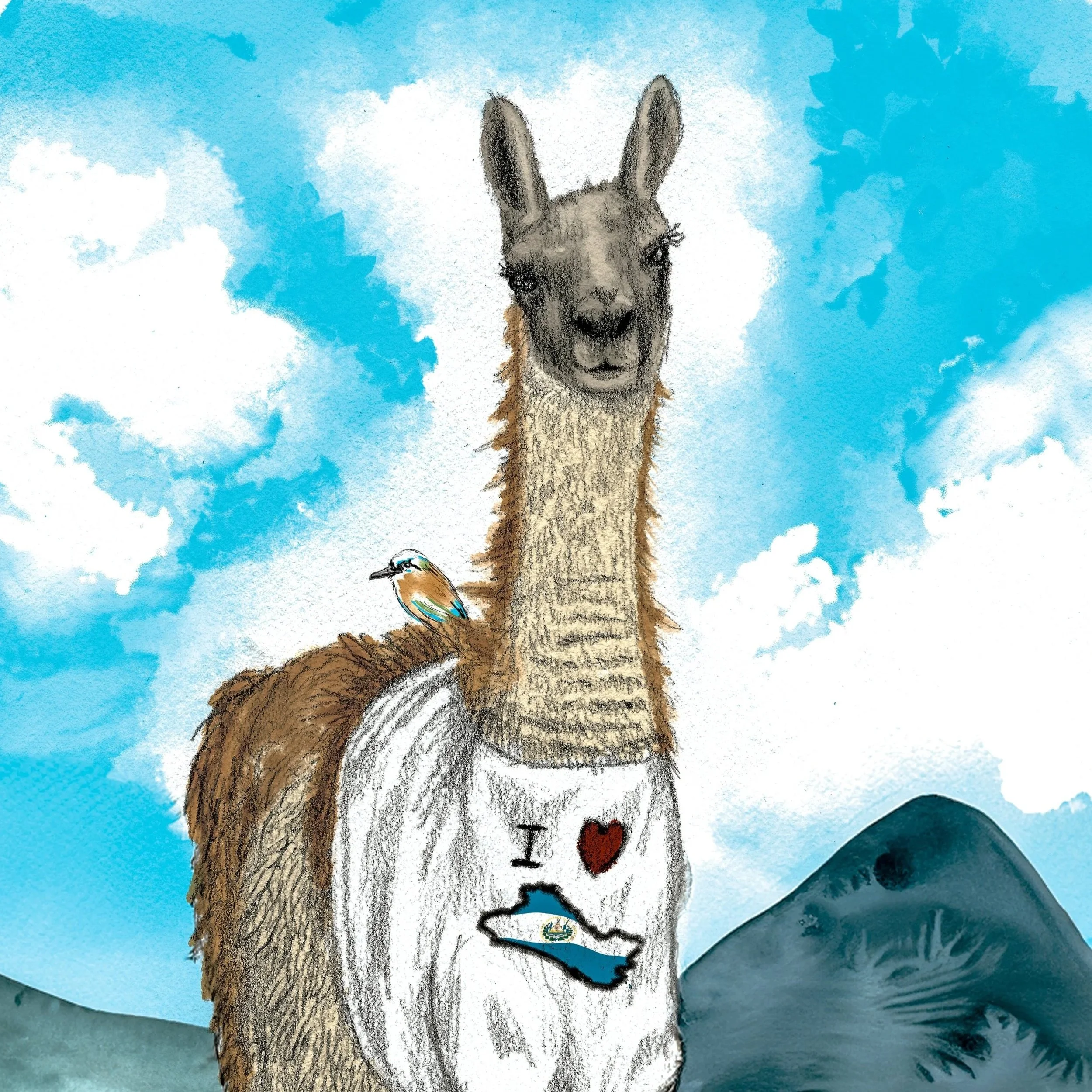 Guanaco - featured in Netflix Series: Running Point