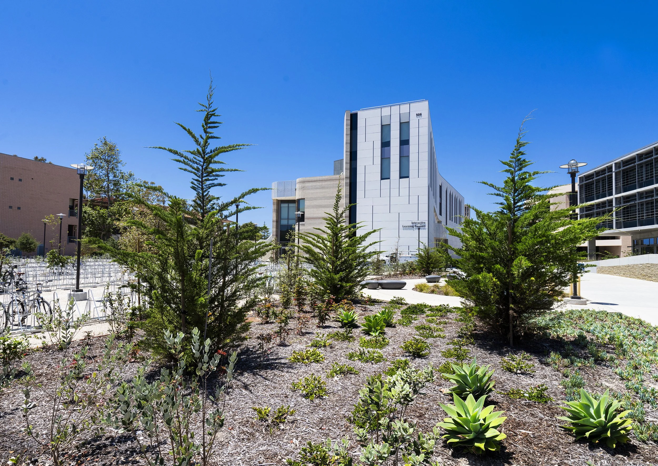 American_Gardens_UCSB-02515.jpg