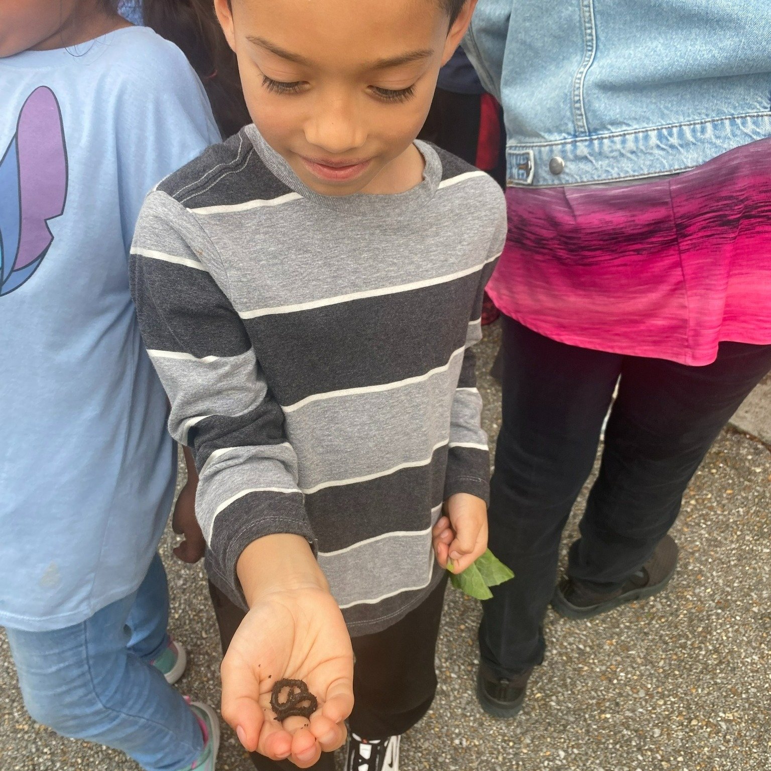 🌾🌱 Highlights from our Galloway Family Farm visit! 🌞🐔

Students at Program Believe dove into the world of farming&mdash;learning about chickens and eggs, exploring soil health (and some friendly worms 🪱), and even tasting fresh, sorrel (hibiscus