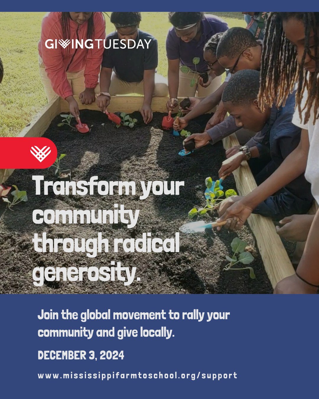 Generosity fuels everything we do at the Mississippi Farm to School Network. When you donate, you&rsquo;re not just giving money&mdash;you&rsquo;re sowing the seeds of change. Here&rsquo;s how your support helps us make a real impact across Mississip