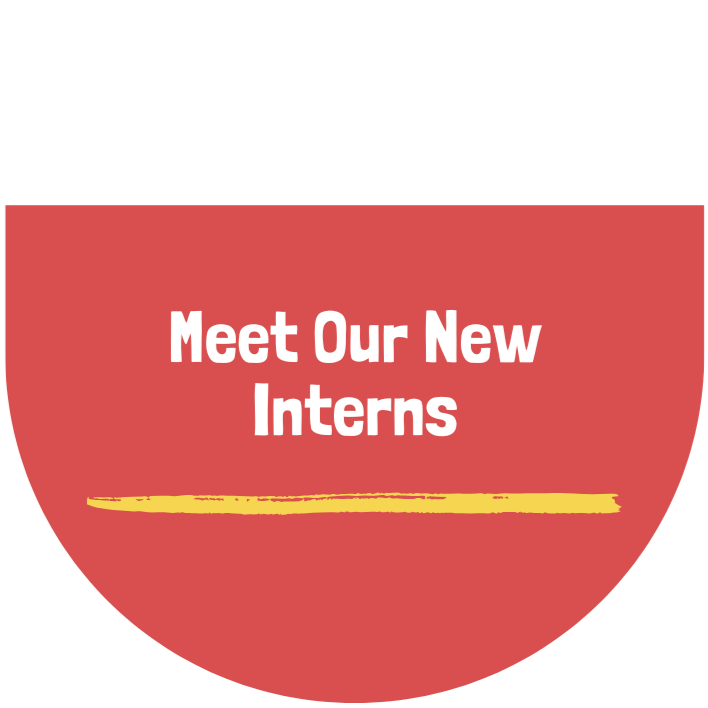 Meet Our New Interns