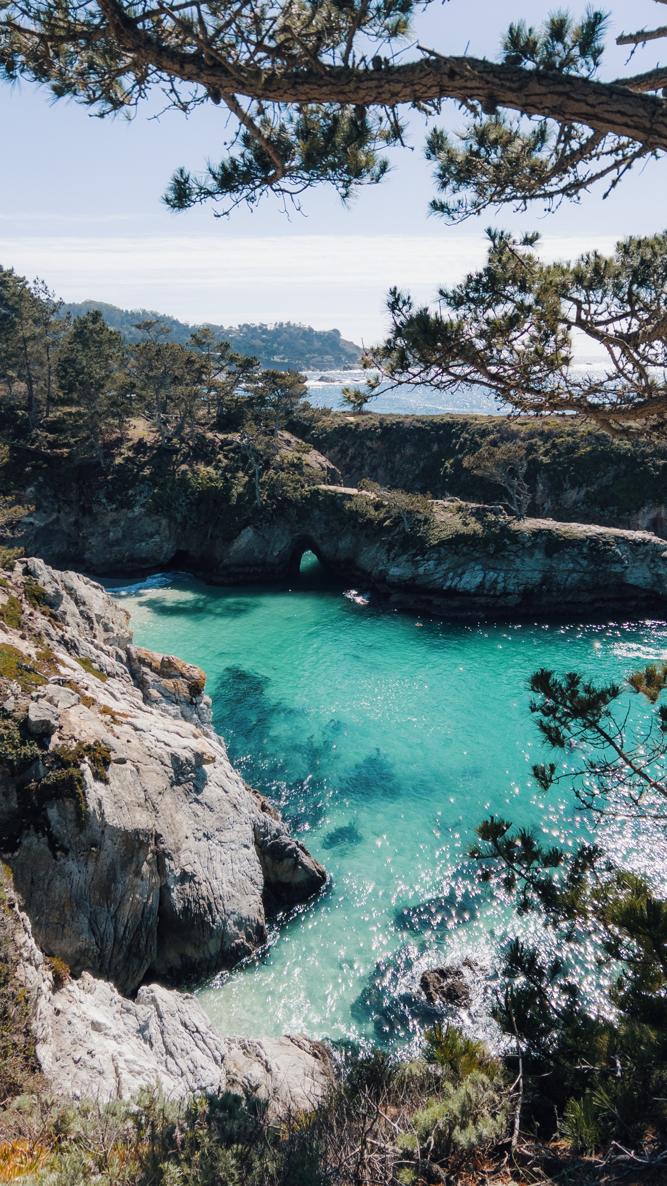 Point Lobos California beach hiking