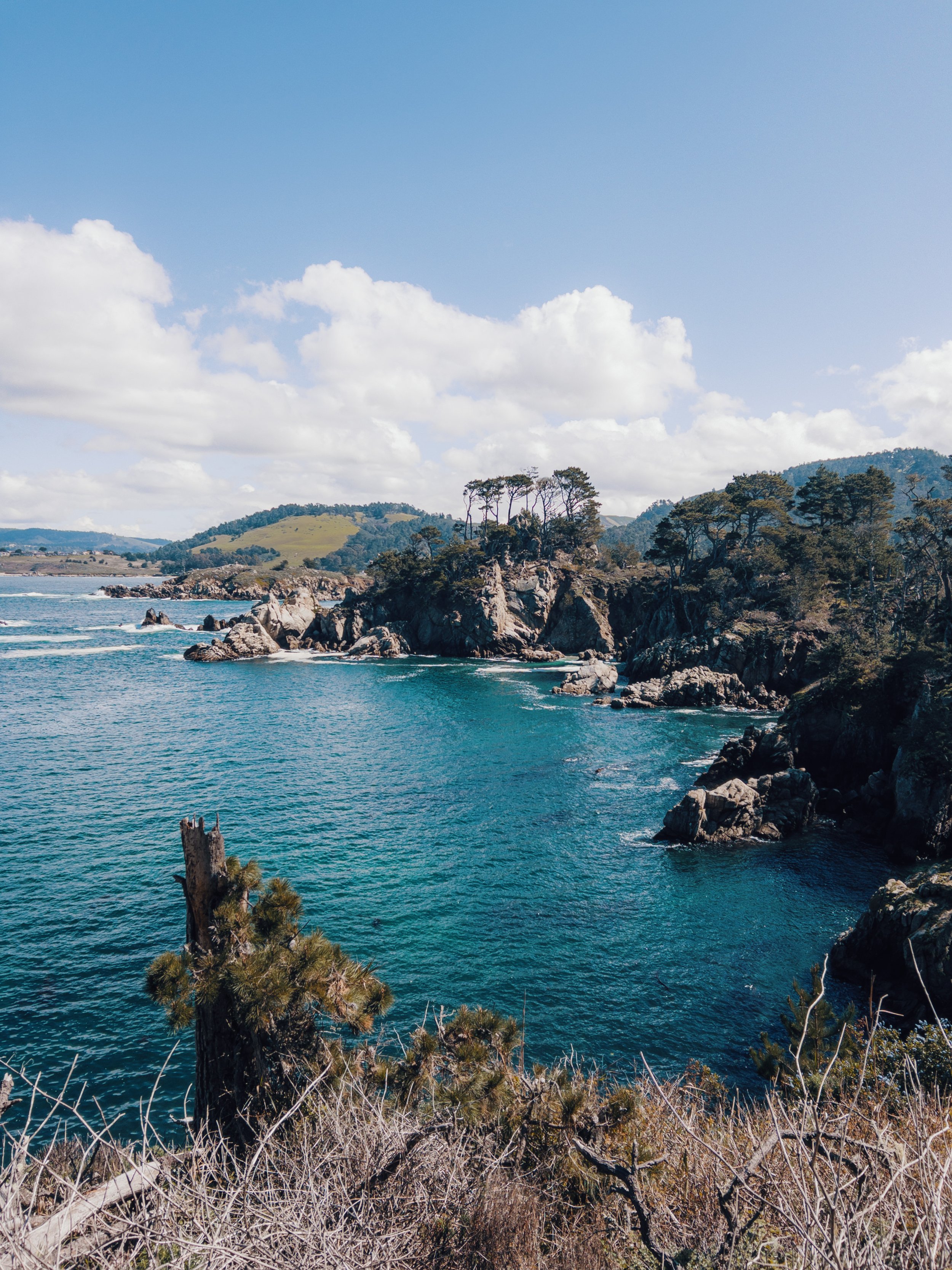 Point Lobos California beach hiking