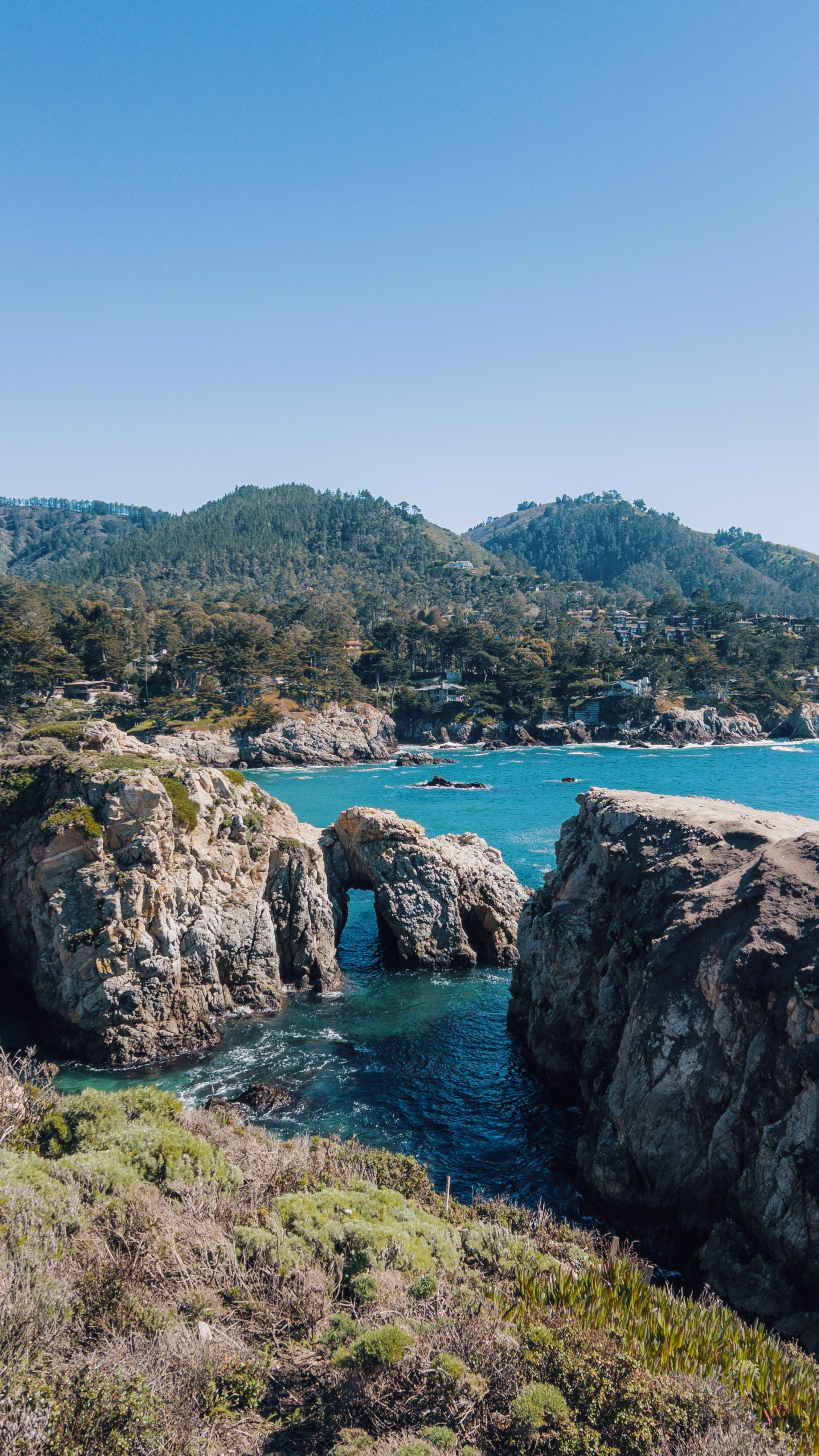 Point Lobos California beach hiking