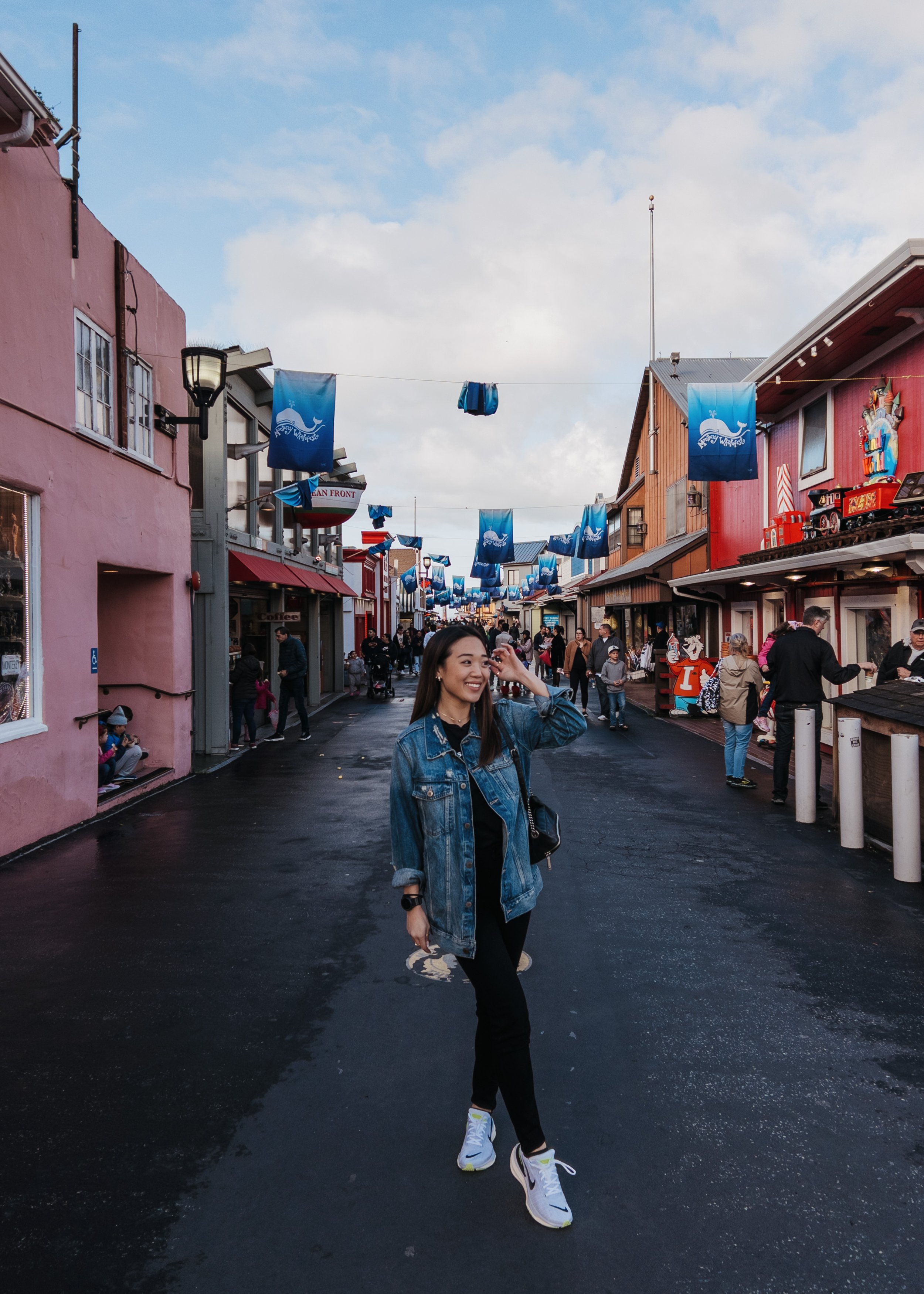 beach, Monterey, California, travel guide