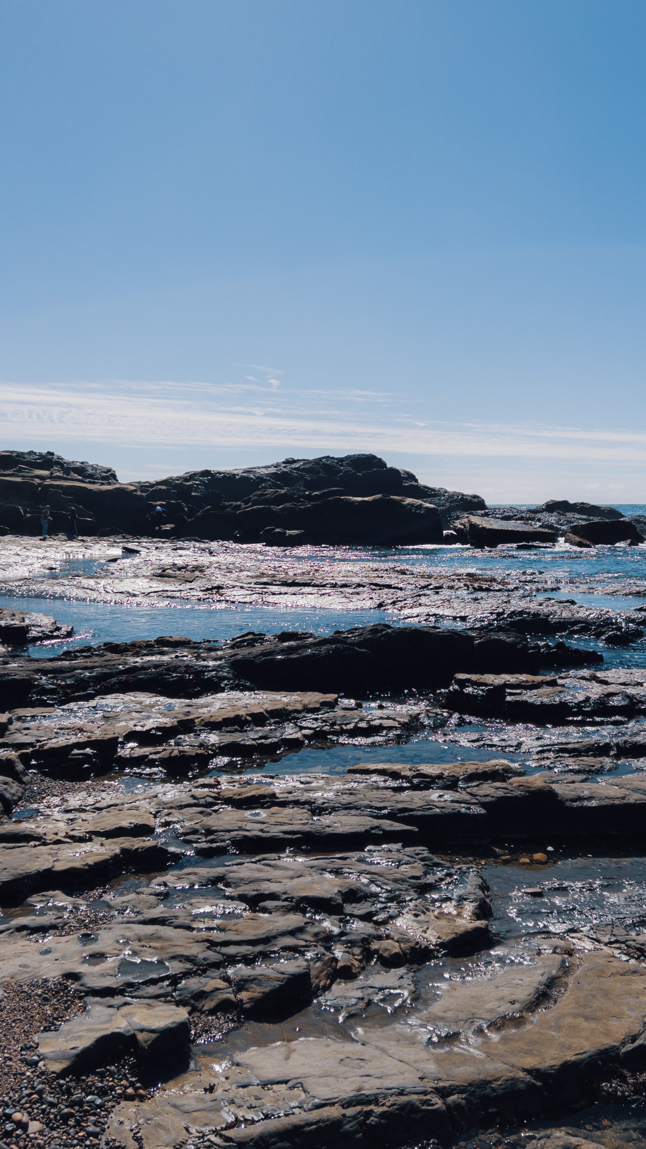 Point Lobos California beach hiking