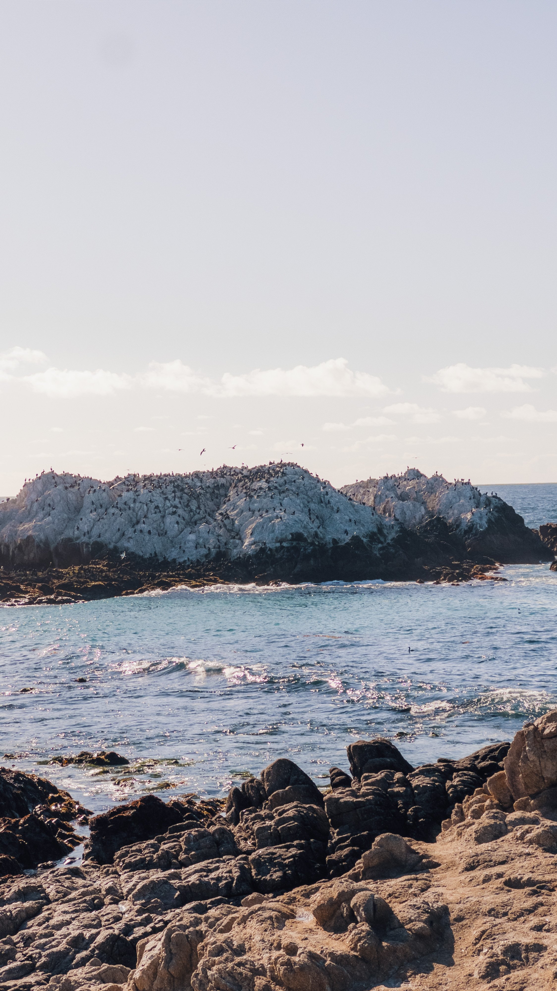 17 Mile Drive, California, travel guide