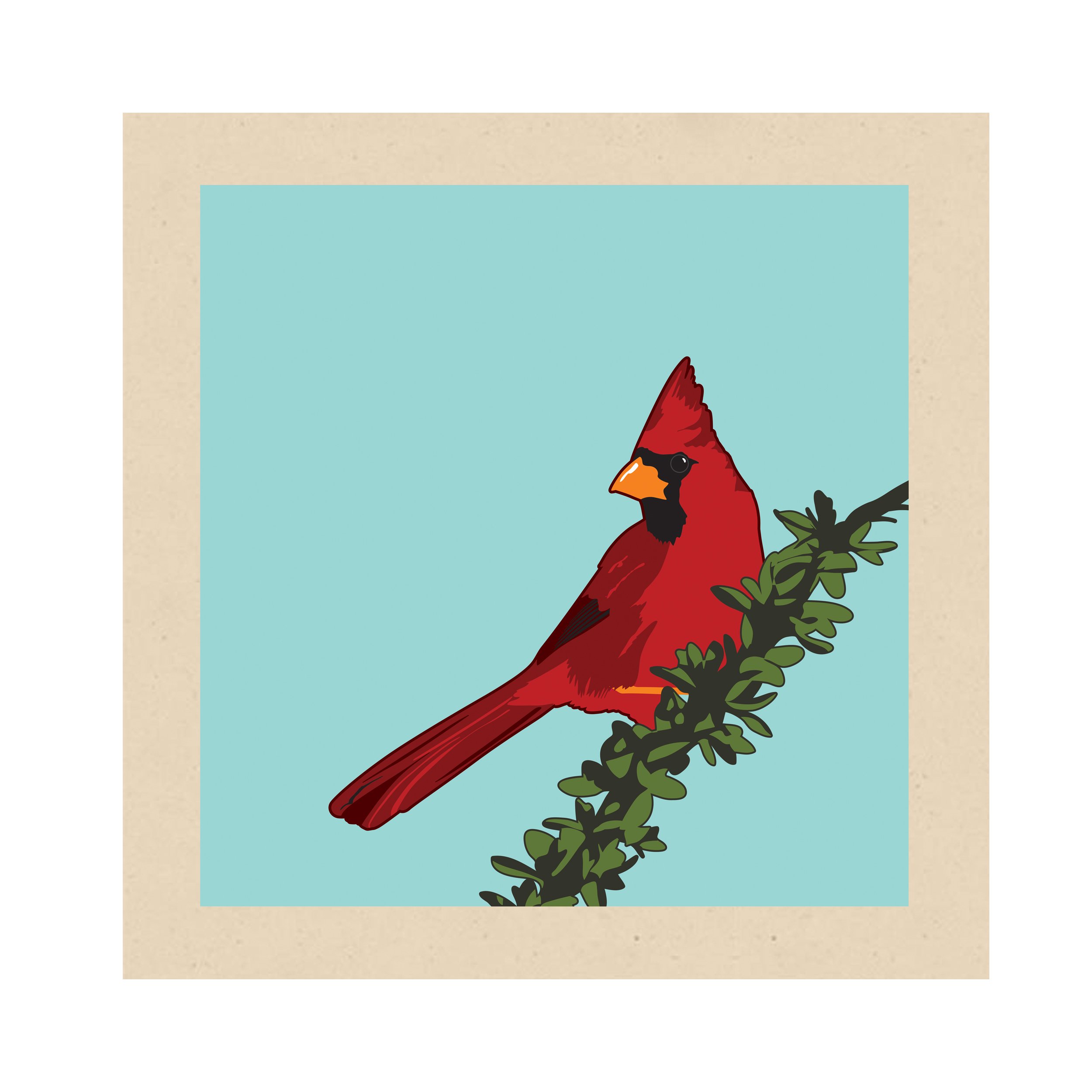 cardinal.jpg