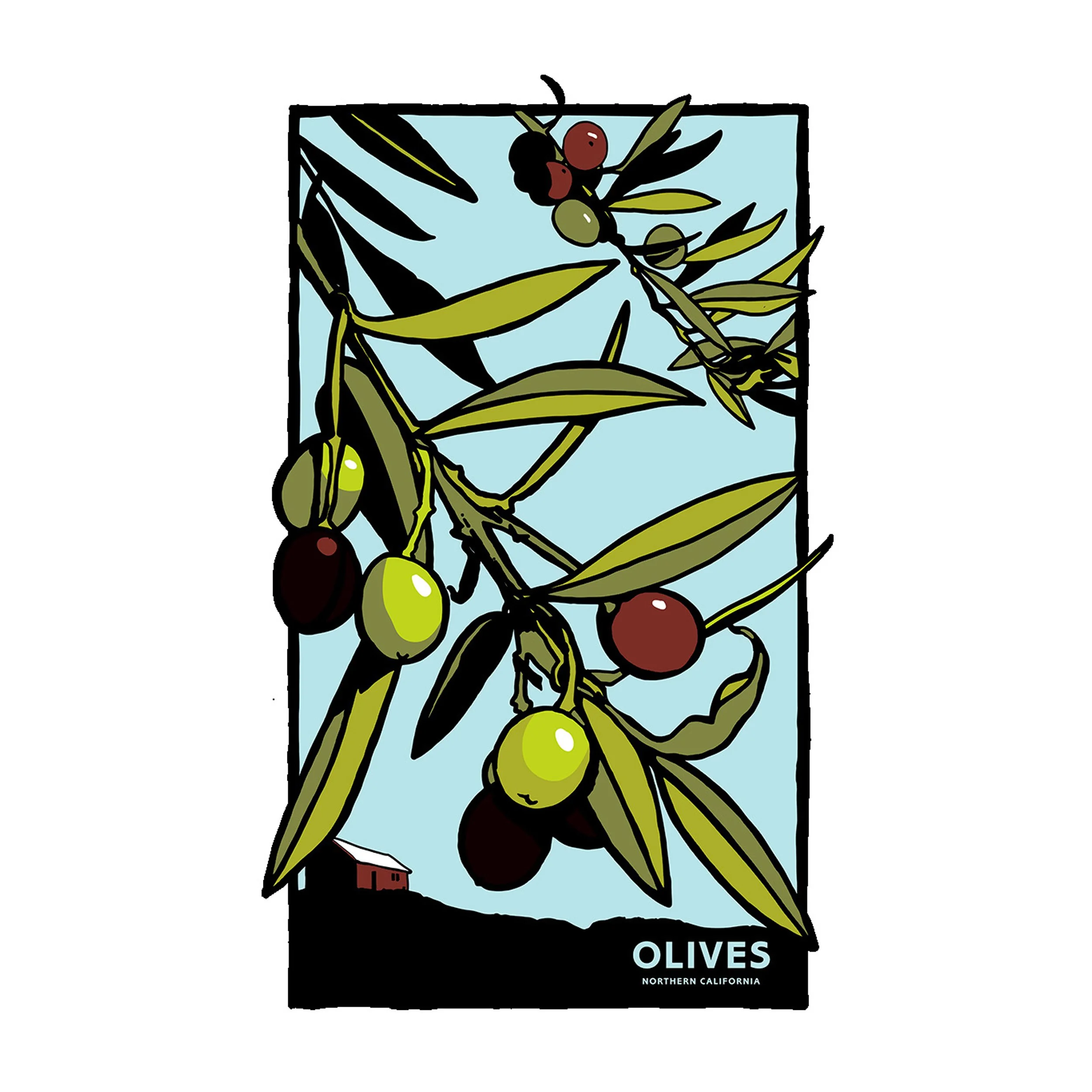 Olives.jpg