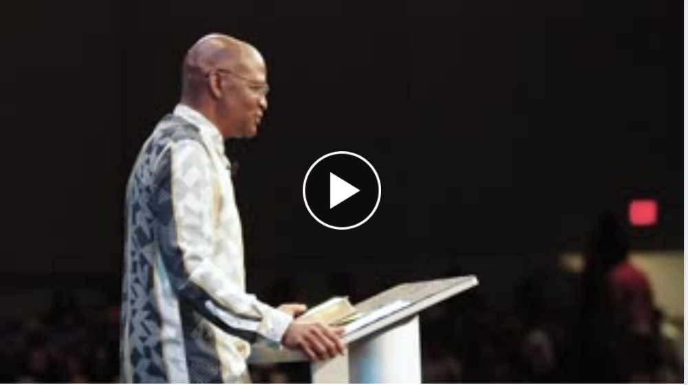 Likes (219) Comments (17) Shares (122) Reach (10.7K+)All organic