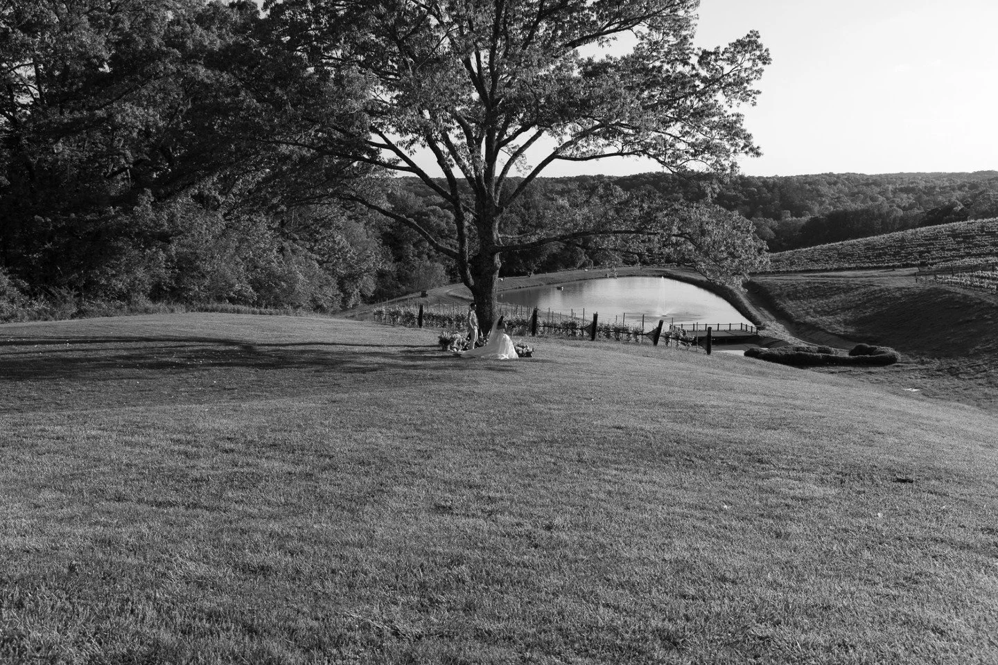 When you look at this photos how does it make you feel? Do you feel like there's a story behind it? Does it make you think? What emotions are you feeling?
 
 
📍 Atlanta, Georgia | Montaluce Winery 
 
 
 
#montalucewinery #georgiaphotographer #portra
