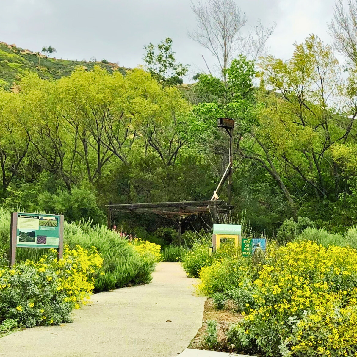 Growing a Better Tomorrow: Practical Land Use Skills on Display 
