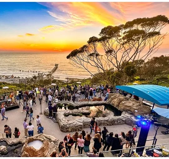 AWWEE Joins the Climate Dance Party at Birch Aquarium