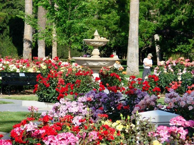 Morning Walking Meditation at the CalCCA Conference