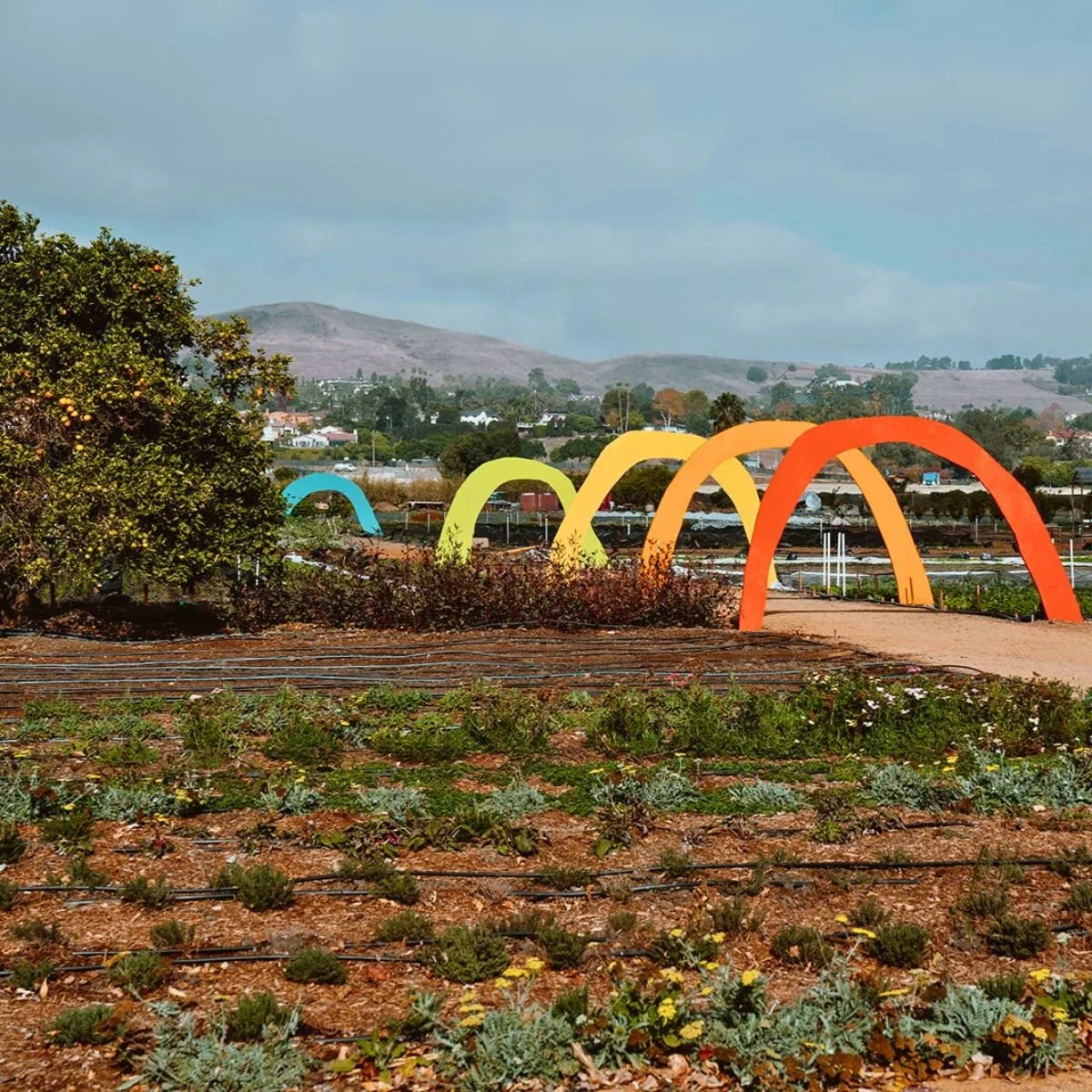 From Soil to Table: A Farm Tour and Hands-On Experience at The Ecology Center