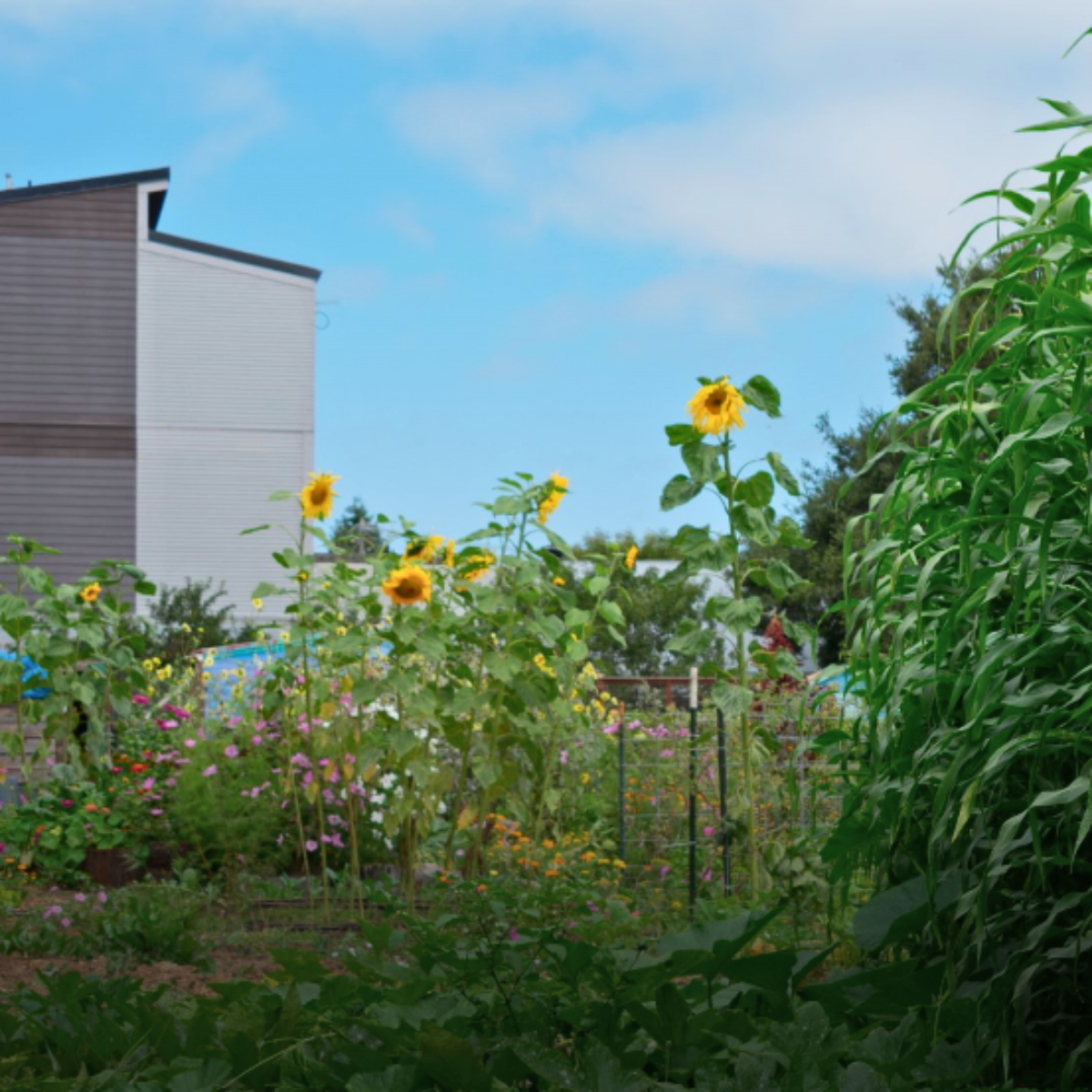 Cultivating Change: A Day of Service with Acta Non Verba Farm