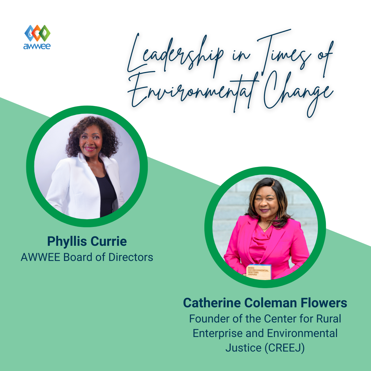 Leadership in Times of Environmental Change