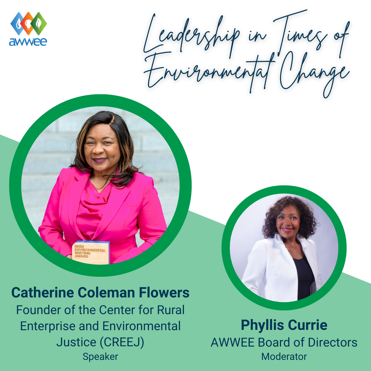Leadership in Times of Environmental Change