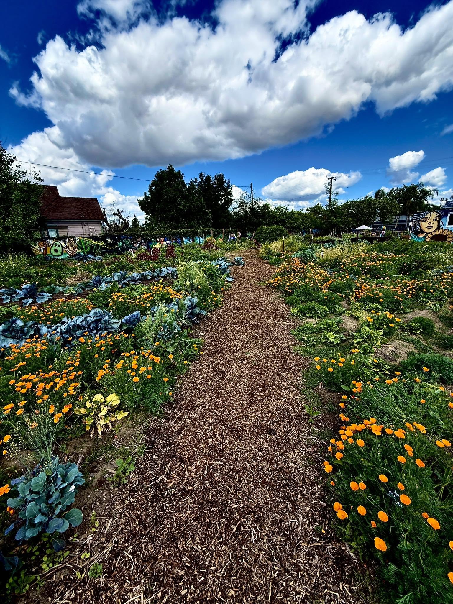 Learn &amp; Lend a Hand at Lopez Urban Farm