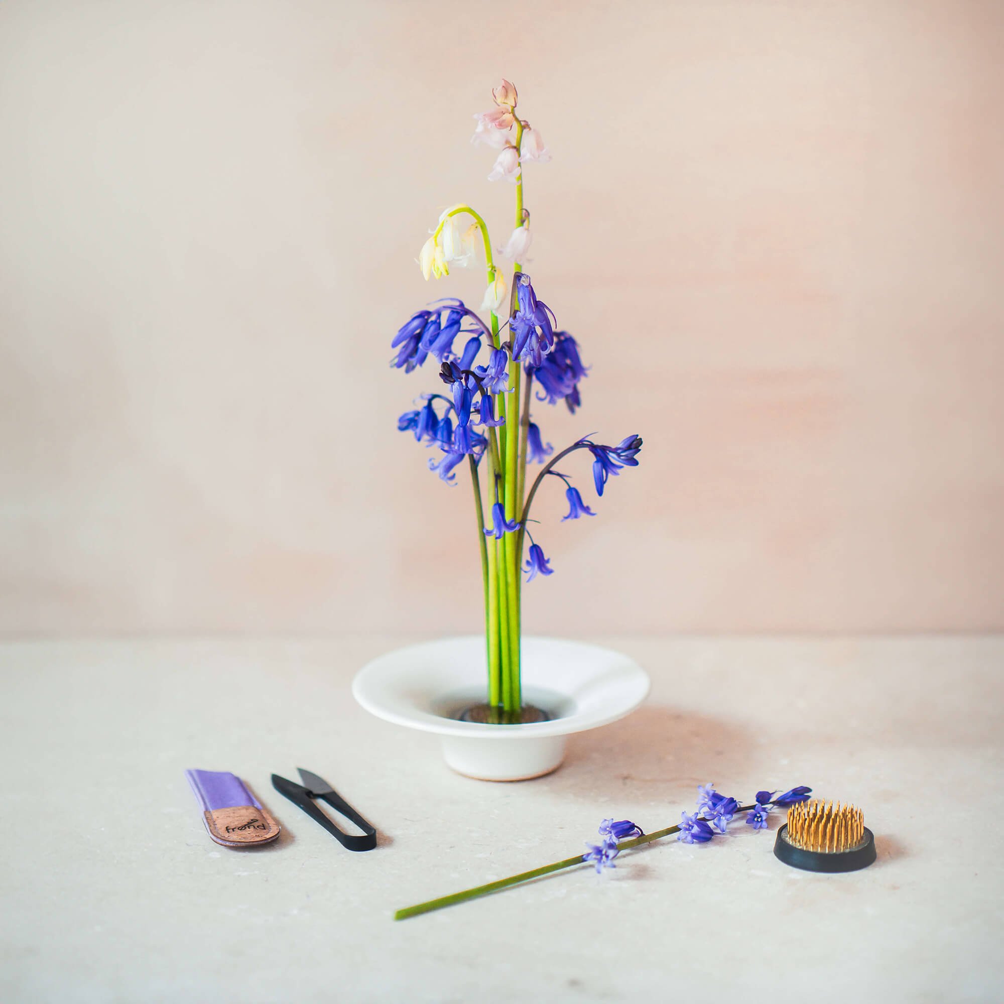 Frond-Vae-Spring-Bluebells_LOW_OPT.jpg