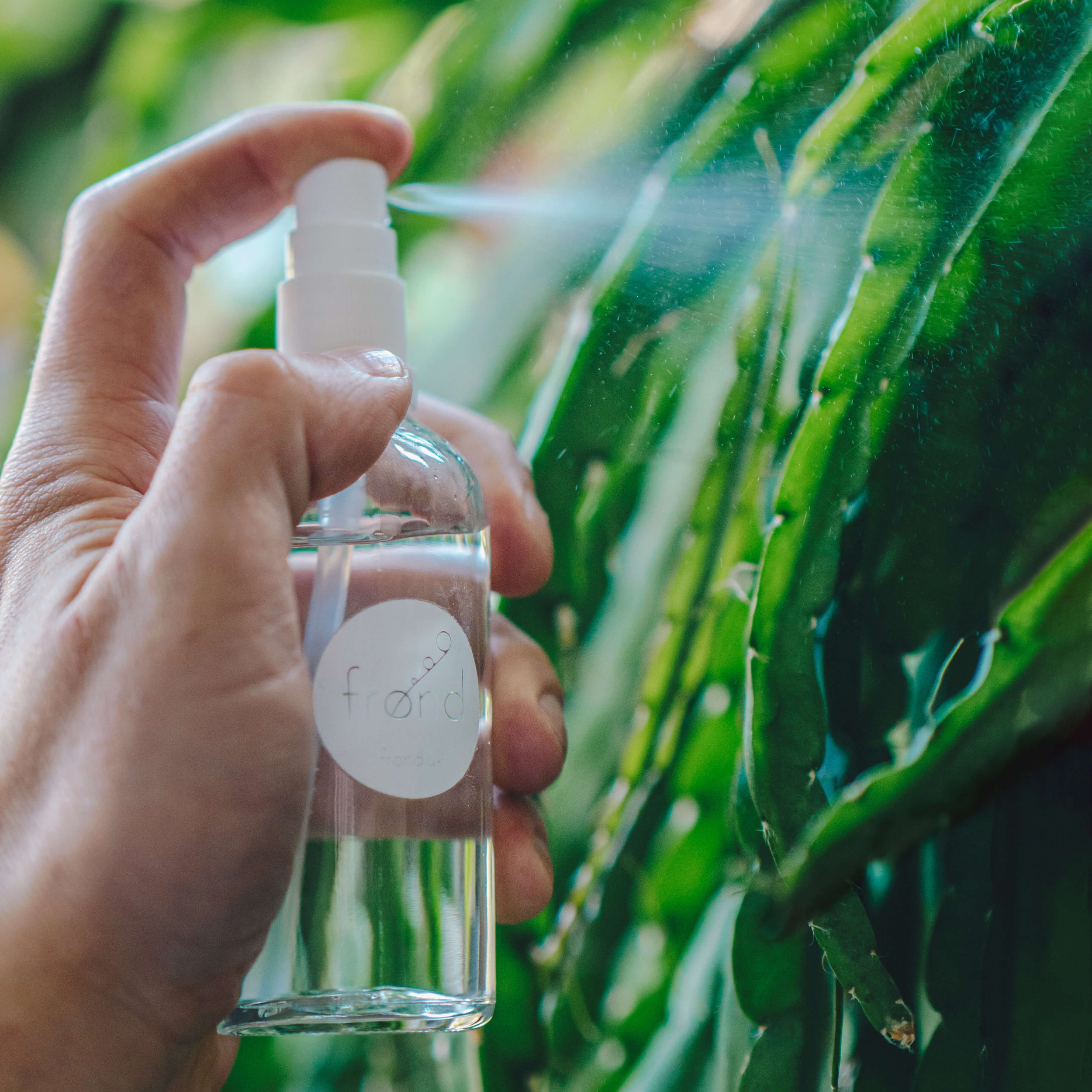 Frond_100ml_mister_spray-bottle-1sq_OPT.jpg
