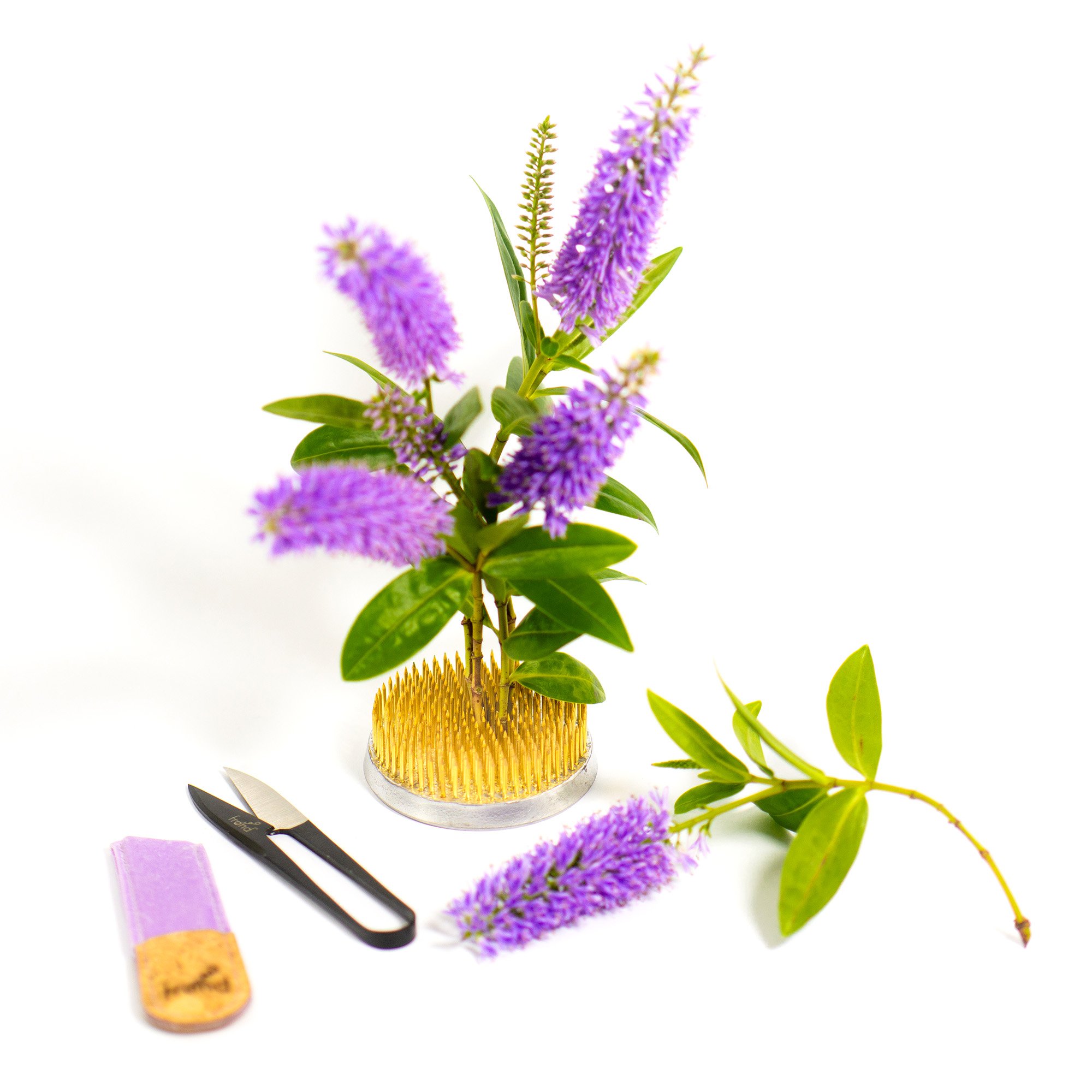 Kenzan-Gold-large-70mm-Small-40mm-Minisnips-FROND.jpg