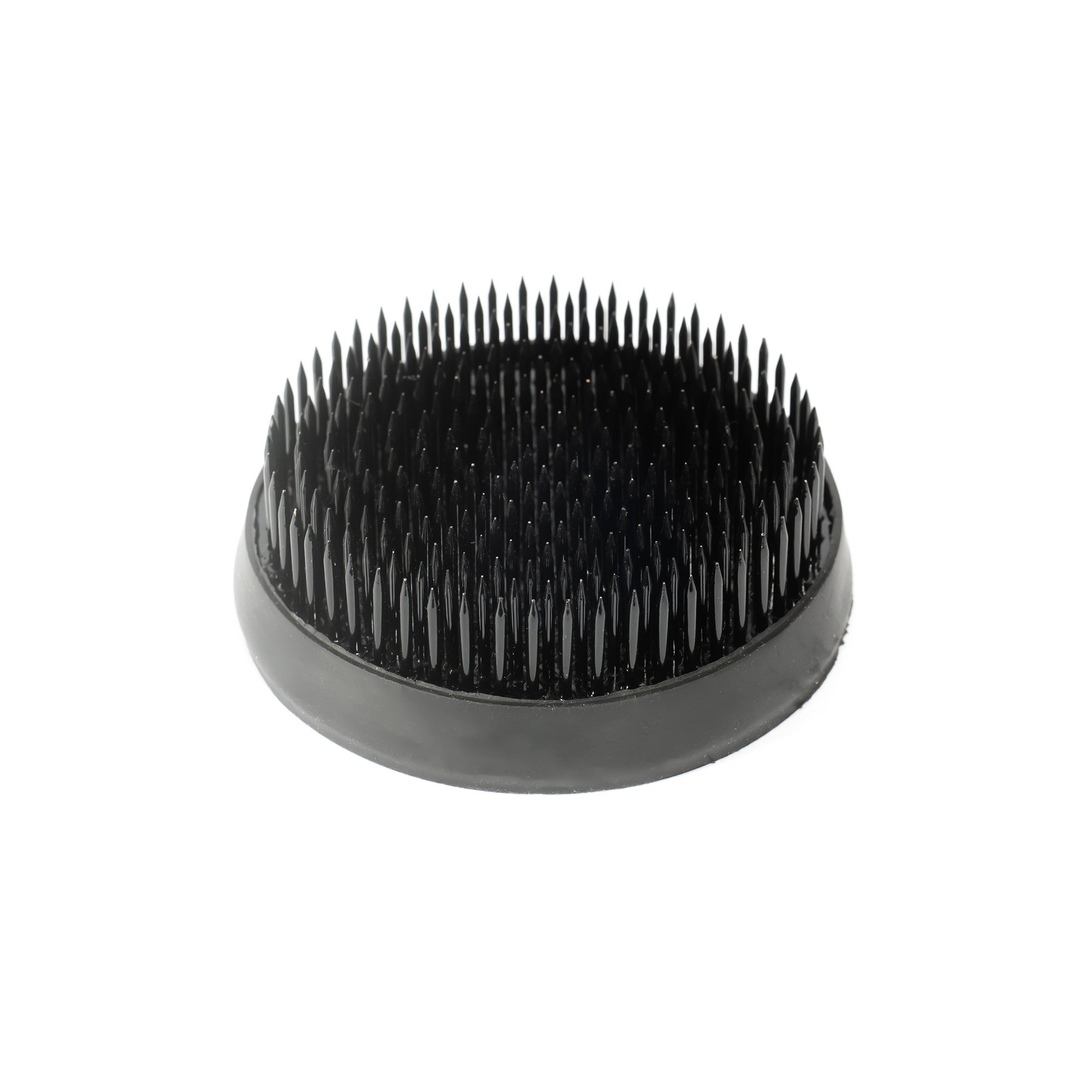 Kenzan-Black-large-70mm-FROND.jpg