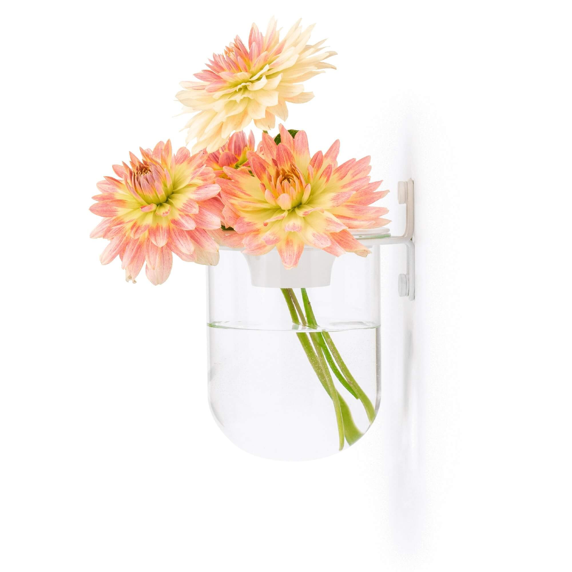 FROND_Vae_wall-mount-vase_dahlia_side1_£55_LOW.jpg