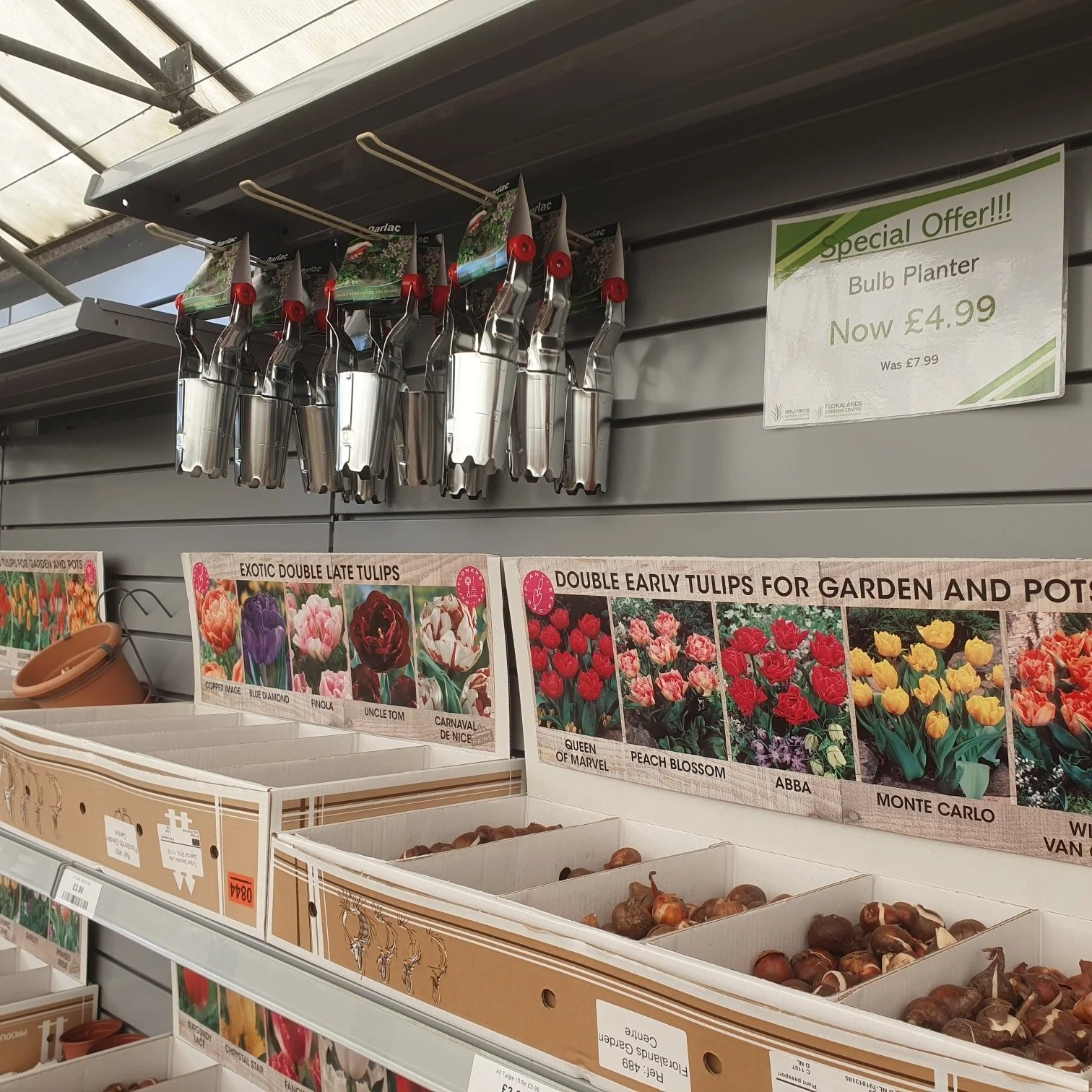 Autumn's calling - and so are our blooming great offers at Floralands! It's the perfect time to plant those bulbs and get your garden glowing!