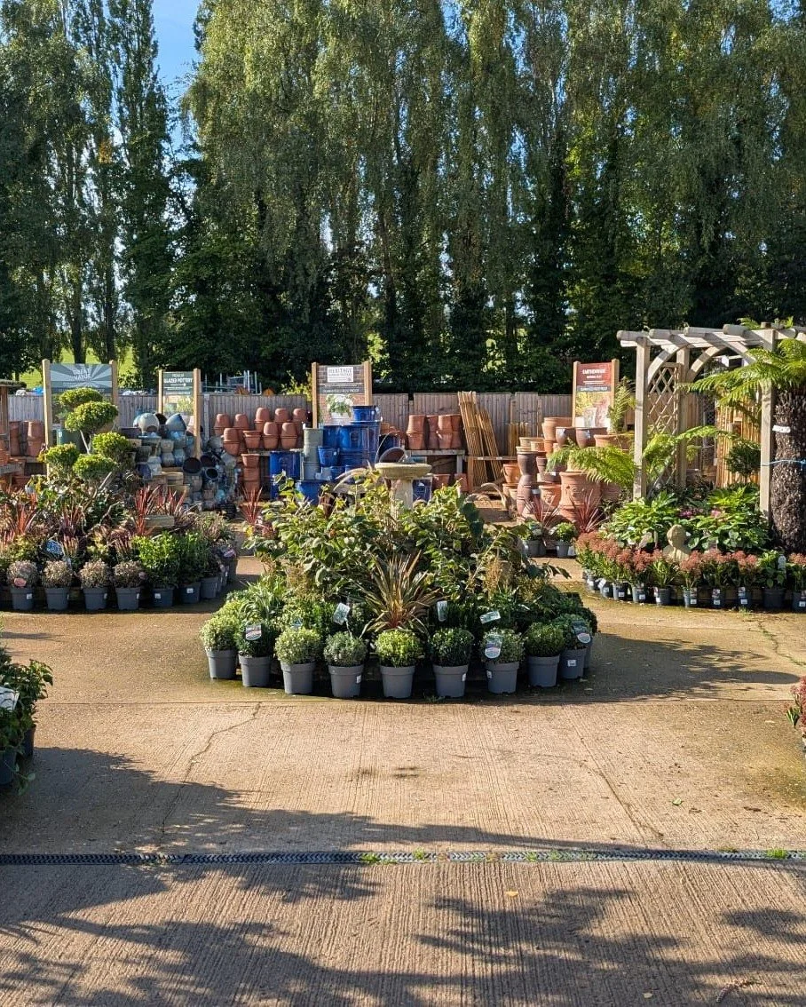 Lots of new plants out and about here today! We&rsquo;ve got a great selection of shrubs that will help keep your garden flourishing all year round!!
