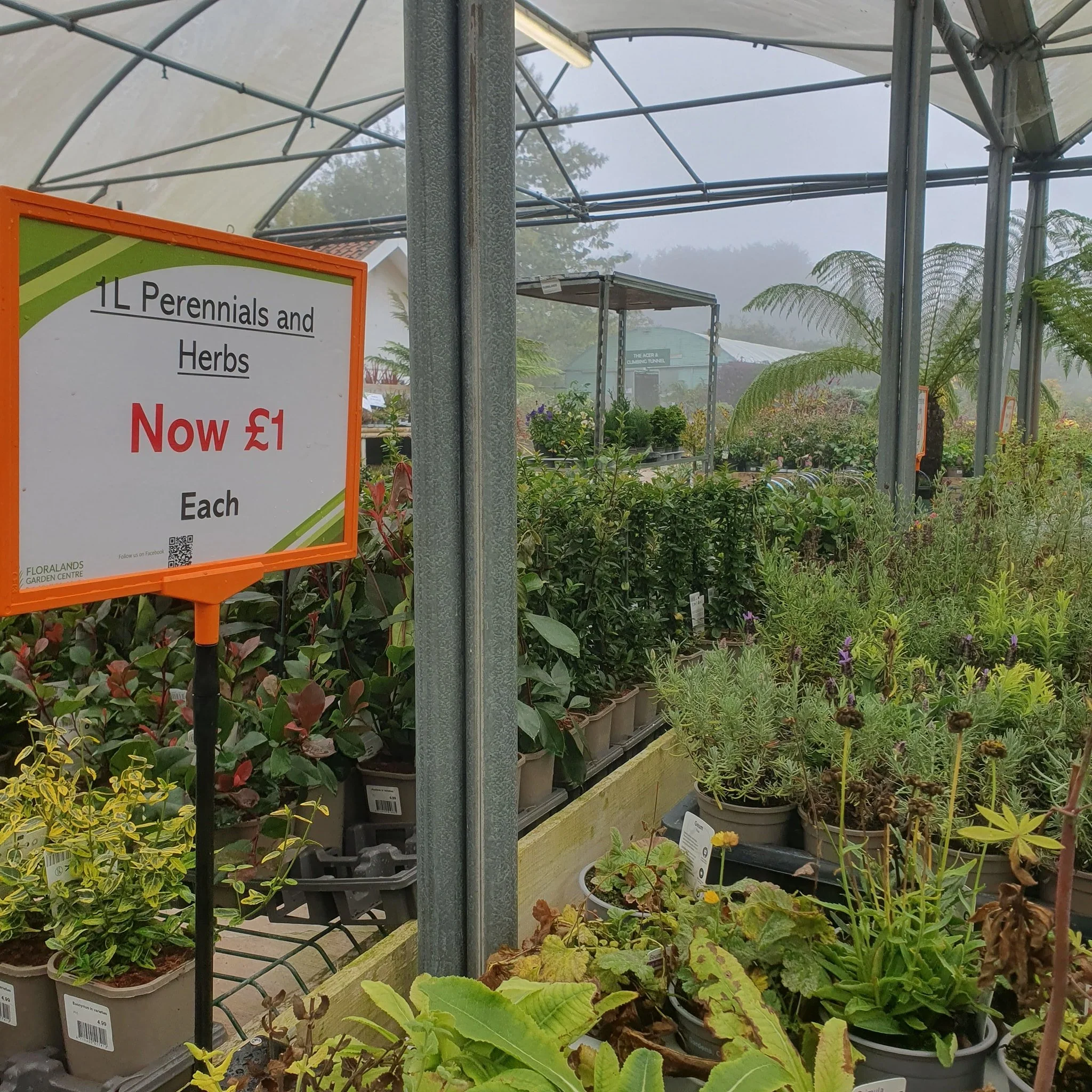 We have some excellent deals in store now!

Whilst stock lasts... limited availability
