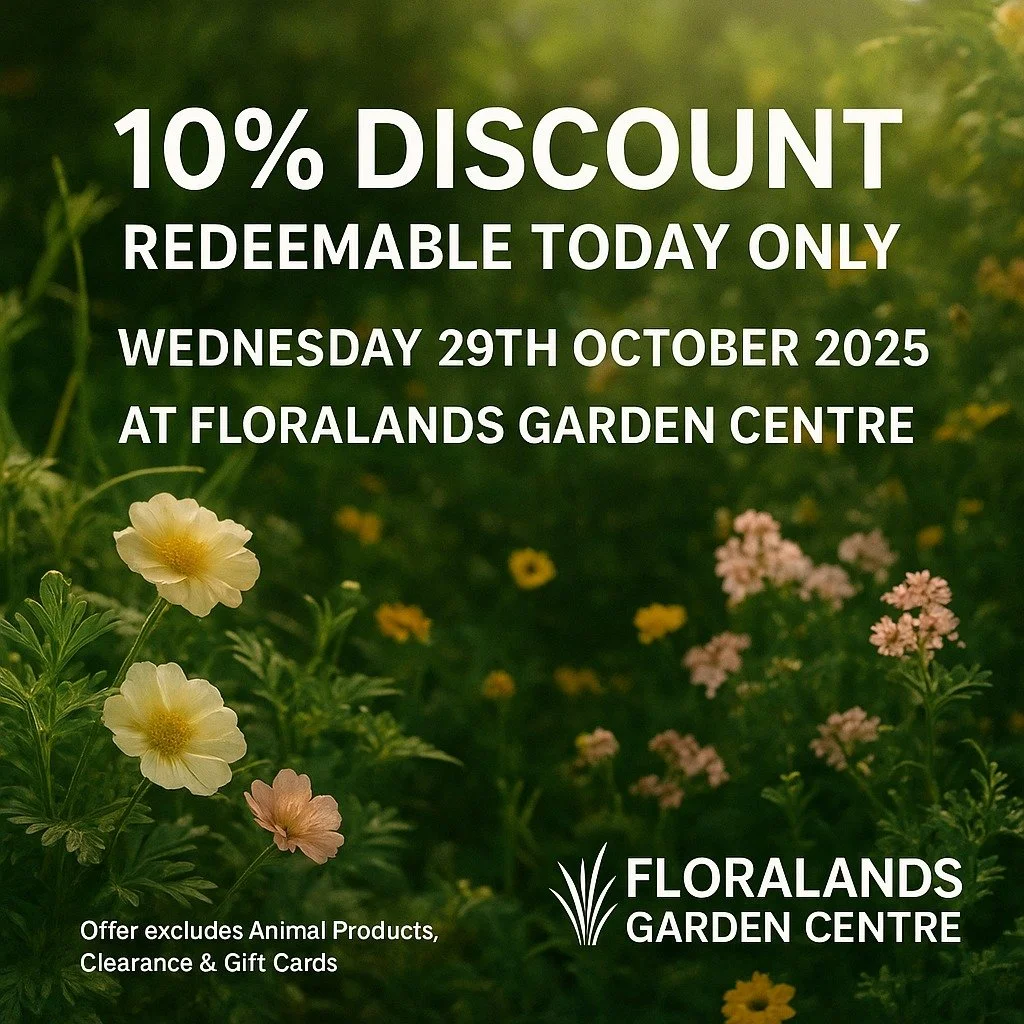 Just show us this picture to redeem your discount.