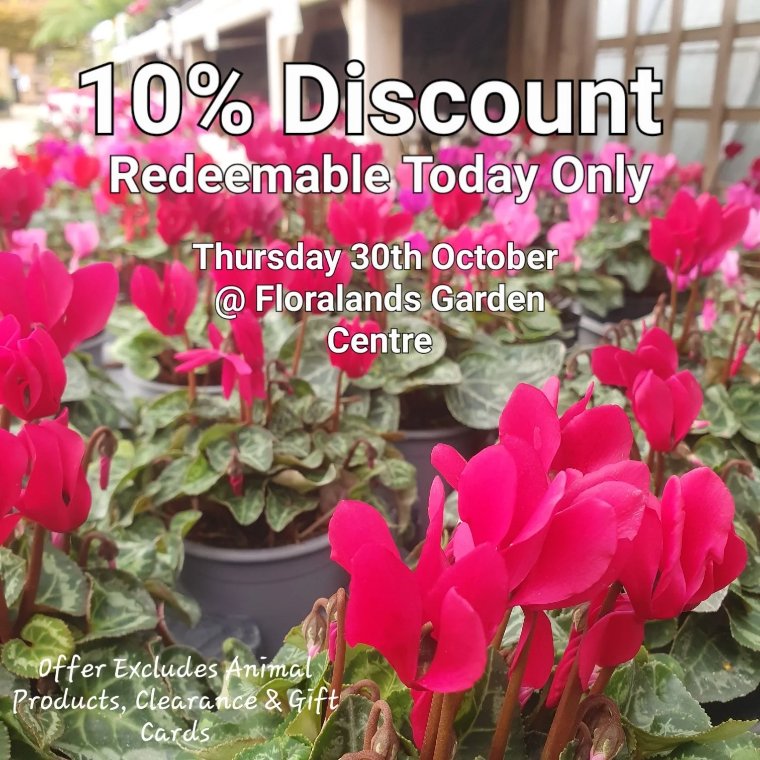 Just show us this Picture at the till to redeem your discount.

Come back here for your daily vouchers.

Offer Applies to most items, but not Animal Products, Gift Cards &amp; Clearance Lines