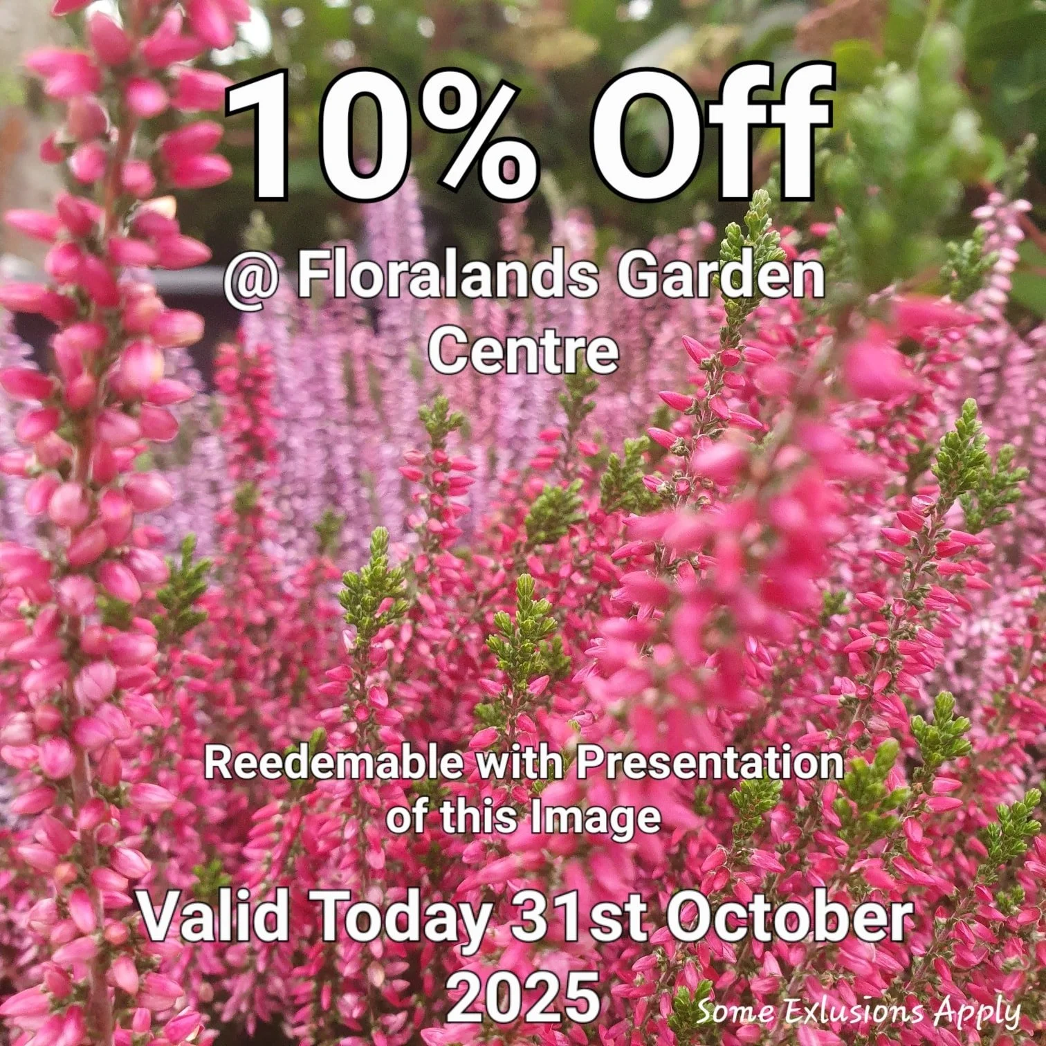 Just show us this Picture at the till to redeem your discount.

Come back here for your daily vouchers.

Offer Applies to most items, but not Animal Products, Gift Cards &amp; Clearance Lines