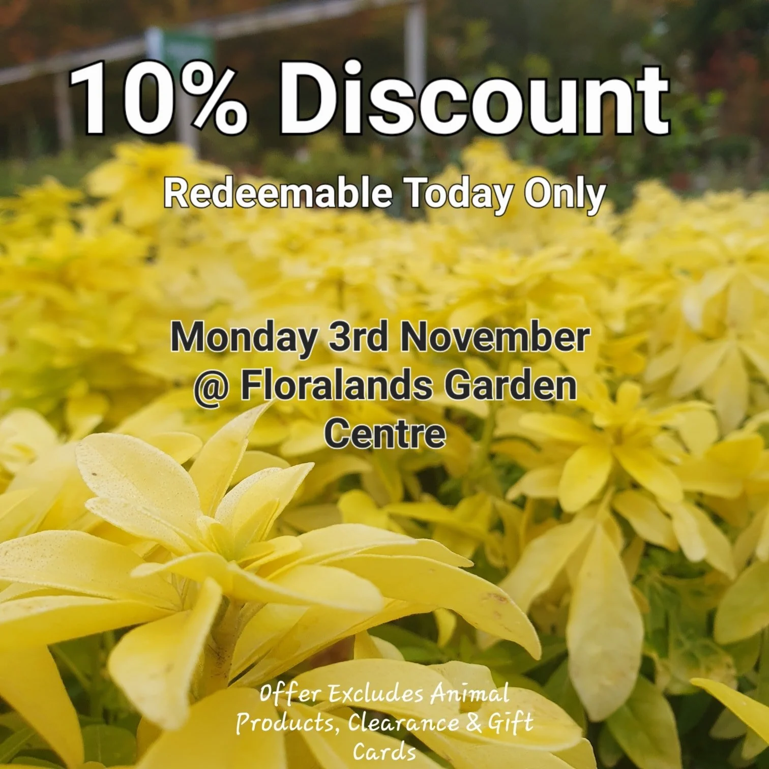 Just show us this Picture at the till to redeem your discount.

Come back here for your daily vouchers.

Offer Applies to most items, but not Animal Products, Gift Cards &amp; Clearance Lines