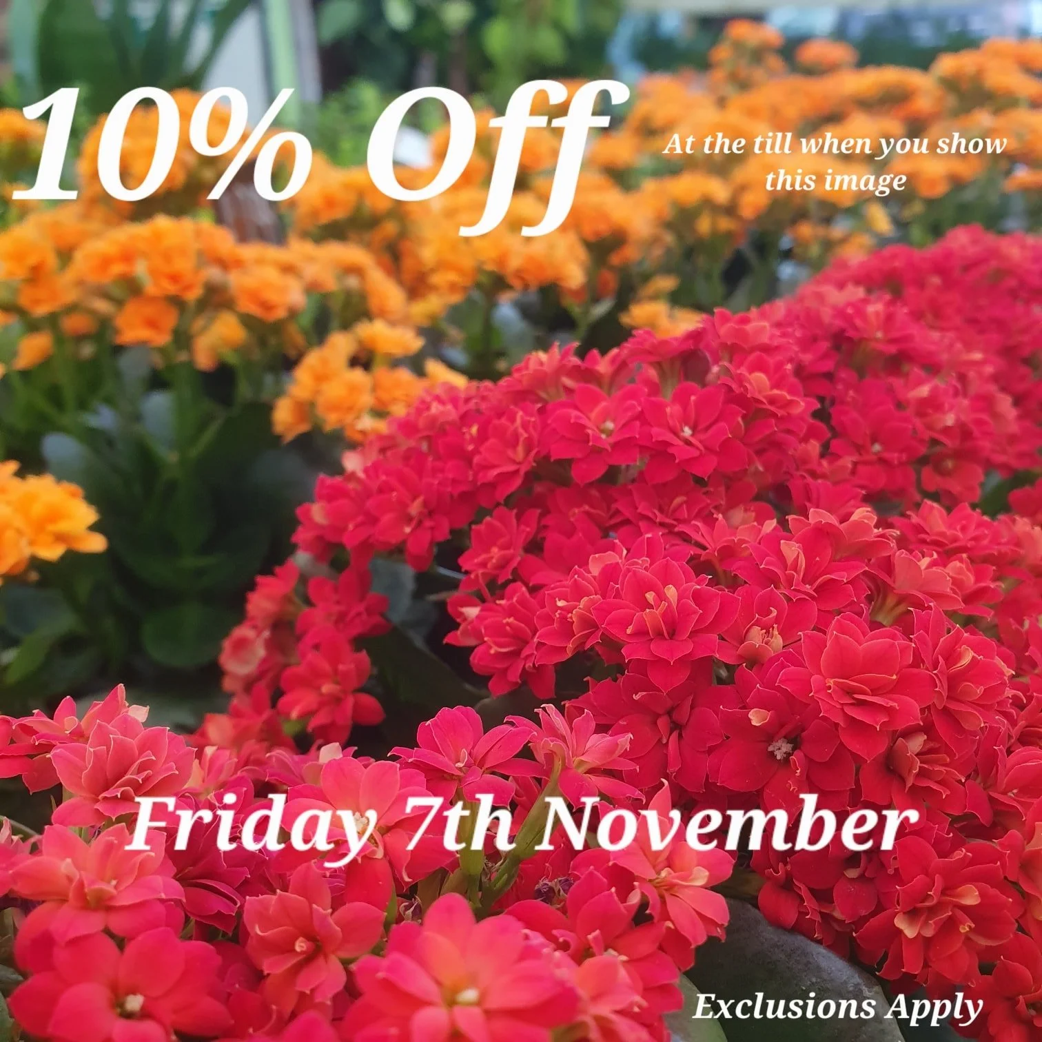 Just show us this Picture at the till to redeem your discount.

Come back here for your daily vouchers.

Offer Applies to most items, but not Animal Products, Gift Cards &amp; Clearance Lines