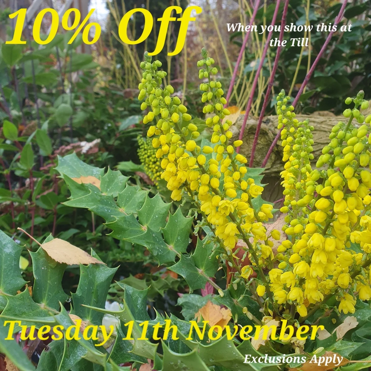 Just show us this Picture at the till to redeem your discount.

Come back here for your daily vouchers.

Offer Applies to most items, but not Animal Products, Gift Cards &amp; Clearance Lines