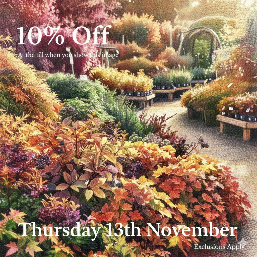 Just show us this Picture at the till to redeem your discount.

Come back here for your daily vouchers.

Offer Applies to most items, but not Animal Products, Gift Cards &amp; Clearance Lines