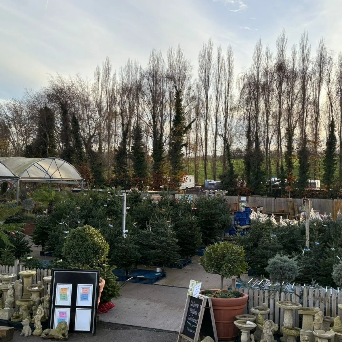 CHRISTMAS TREES🎄 - IN STOCK!

Prices start from &pound;25

Visit us in store to purchase your Tree this Christmas

Open:

Monday - Friday:  8:30 - 16:00
Saturday:  8:30 - 17:00
Sunday:  10:00 - 16:00

We look forward to seeing you soon.