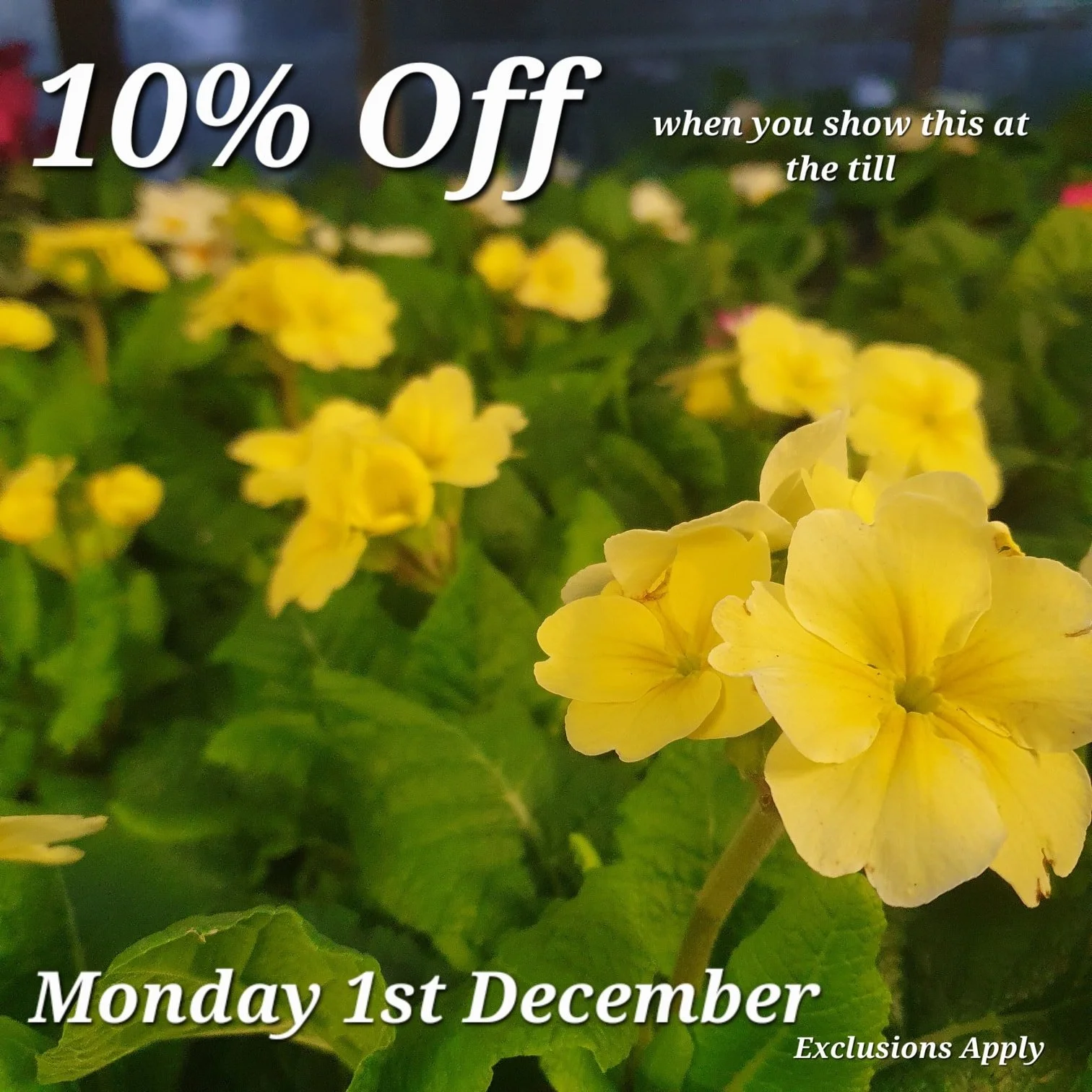 Just show us this Picture at the till to redeem your discount.

Come back here for your daily vouchers.

Offer Applies to most items, but not Animal Products, Gift Cards &amp; Clearance Lines