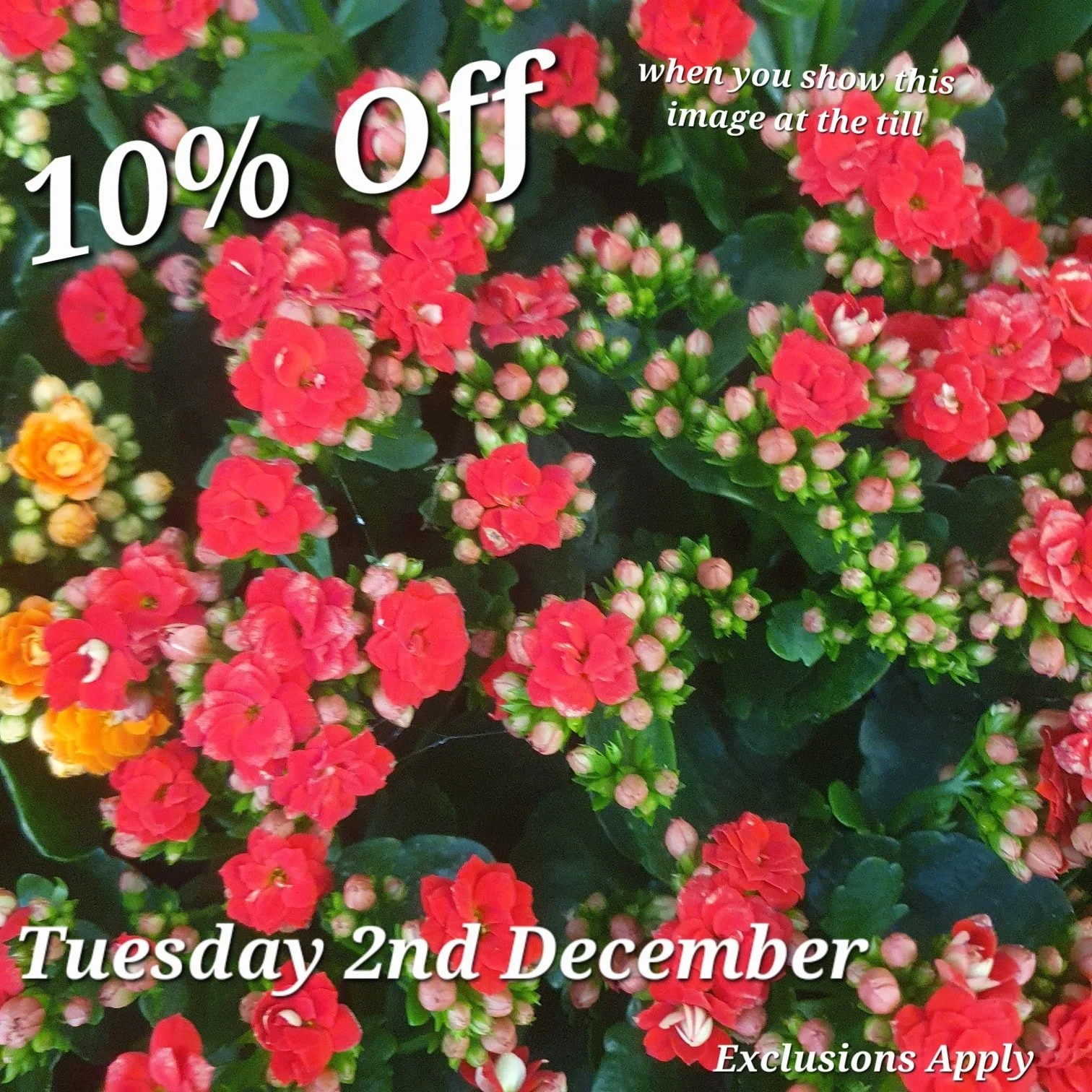 Just show us this Picture at the till to redeem your discount.

Come back here for your daily vouchers.

Offer Applies to most items, but not Animal Products, Gift Cards &amp; Clearance Lines