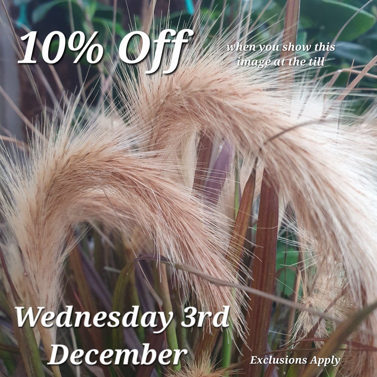 Just show us this Picture at the till to redeem your discount.

Come back here for your daily vouchers.

Offer Applies to most items, but not Animal Products, Gift Cards &amp; Clearance Lines