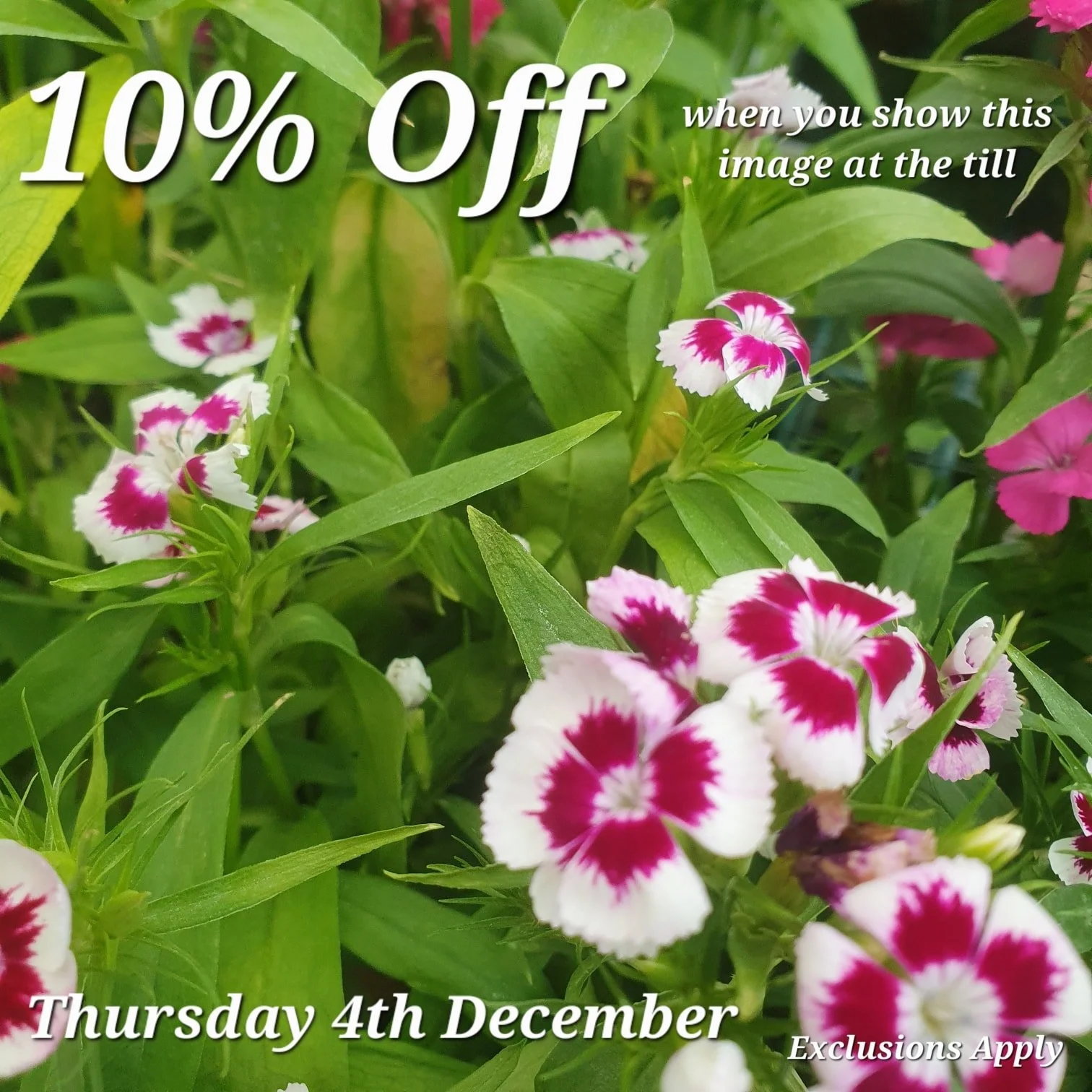 Just show us this Picture at the till to redeem your discount.

Come back here for your daily vouchers.

Offer Applies to most items, but not Animal Products, Gift Cards &amp; Clearance Lines