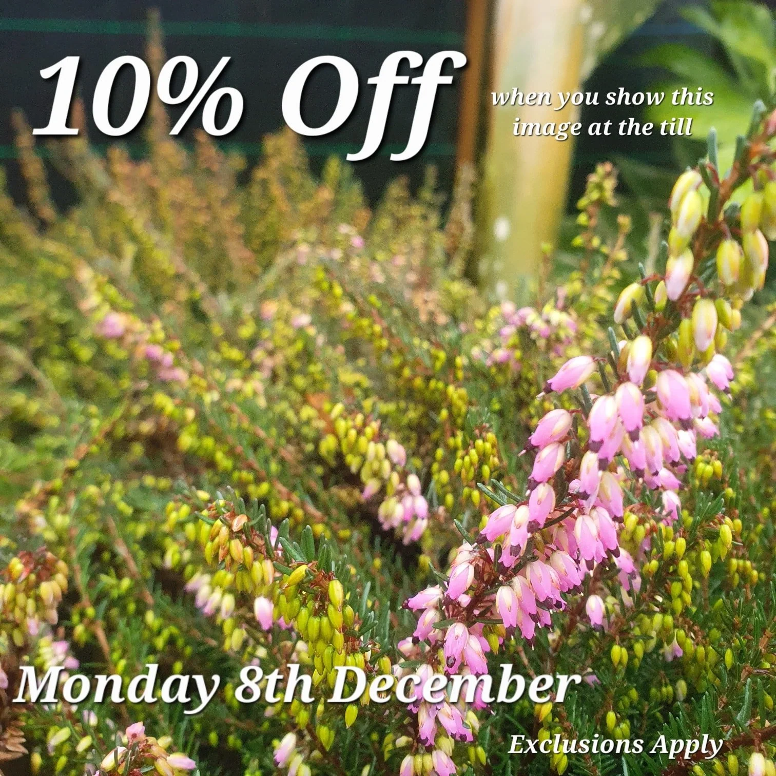 Just show us this Picture at the till to redeem your discount.

Come back here for your daily vouchers.

Offer Applies to most items, but not Animal Products, Gift Cards &amp; Clearance Lines